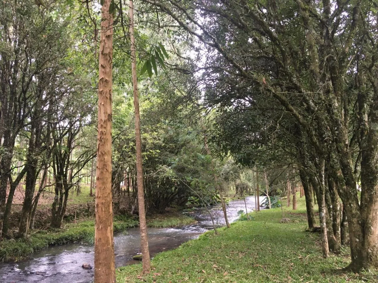 Cabana no Campo Caminho do Salto Ventoso