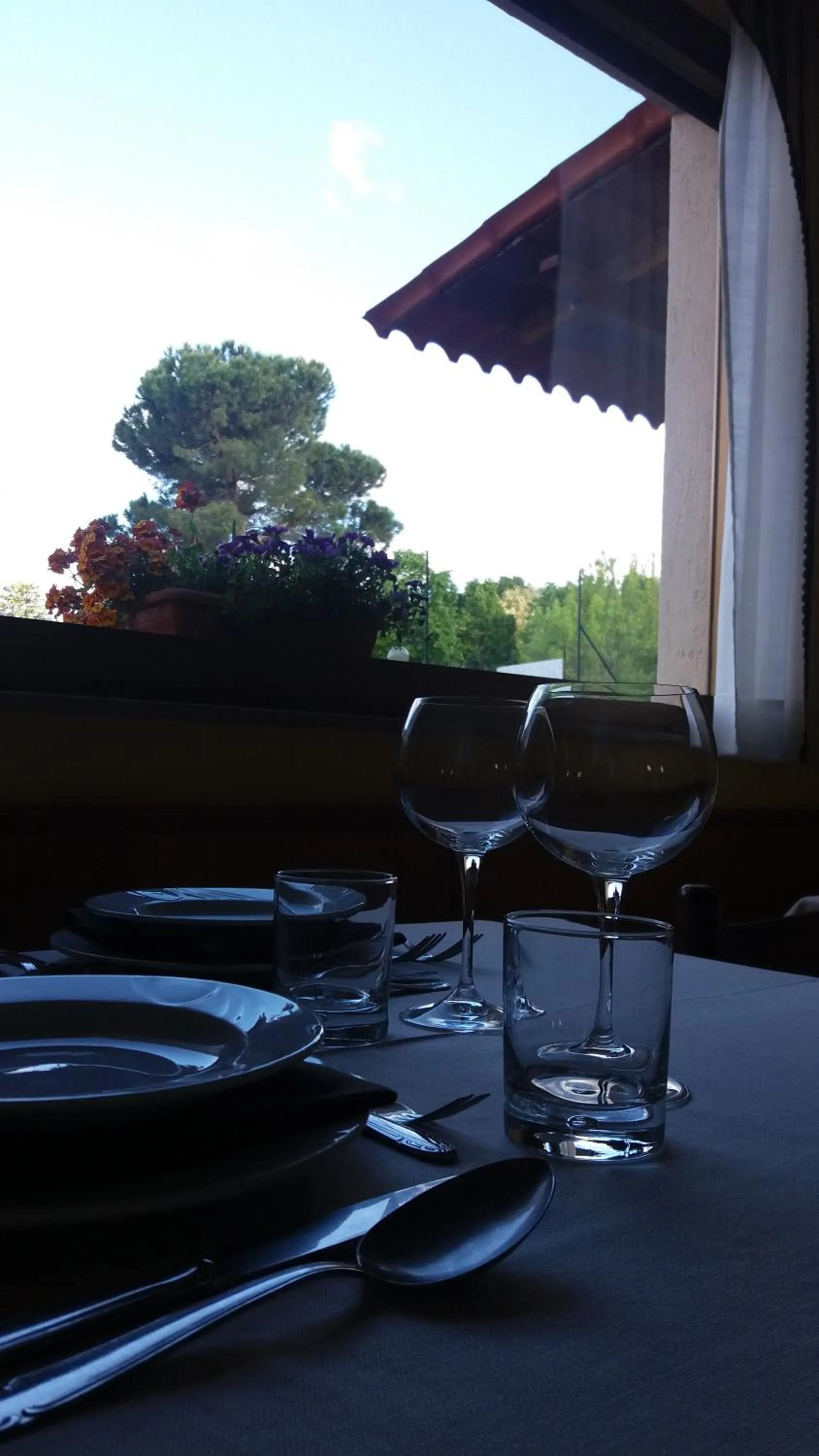 Restaurant/places to eat in Hotel Tirrenia