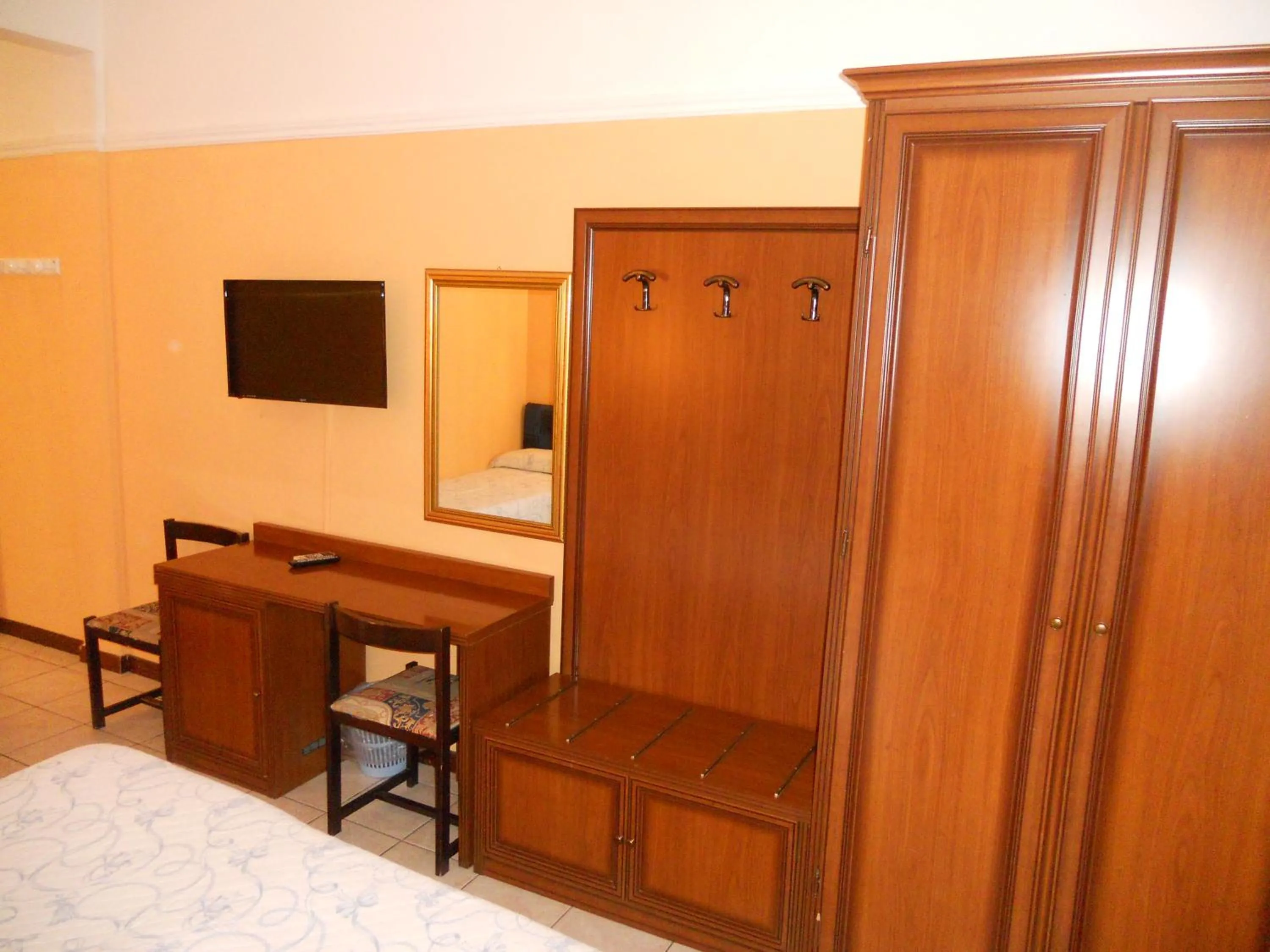 TV and multimedia in Hotel Salus