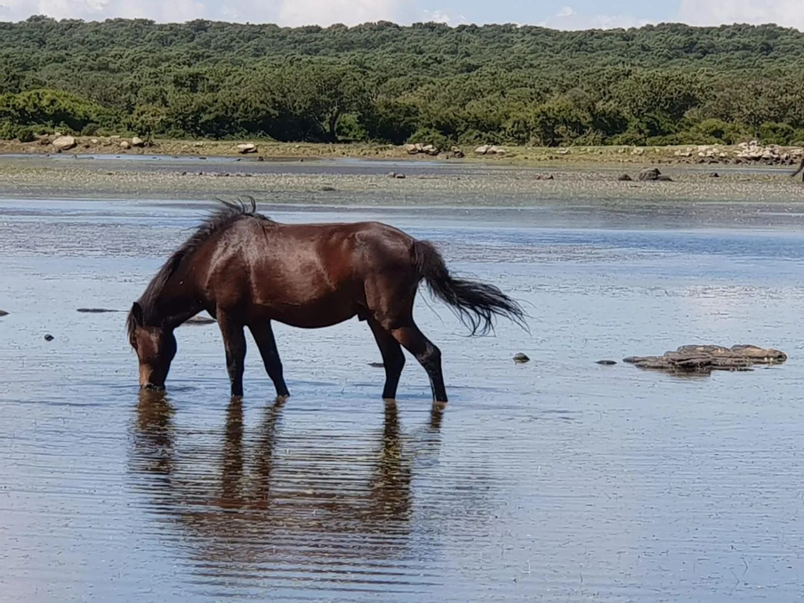 Day in Borgo Antico XIX sec.