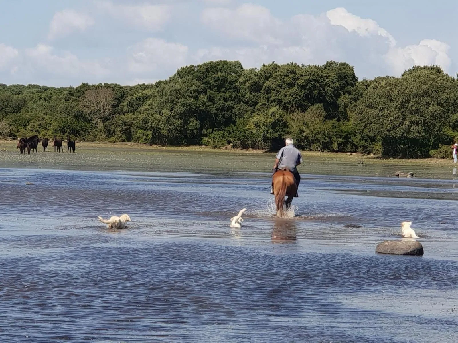 Natural landscape in Borgo Antico XIX sec.