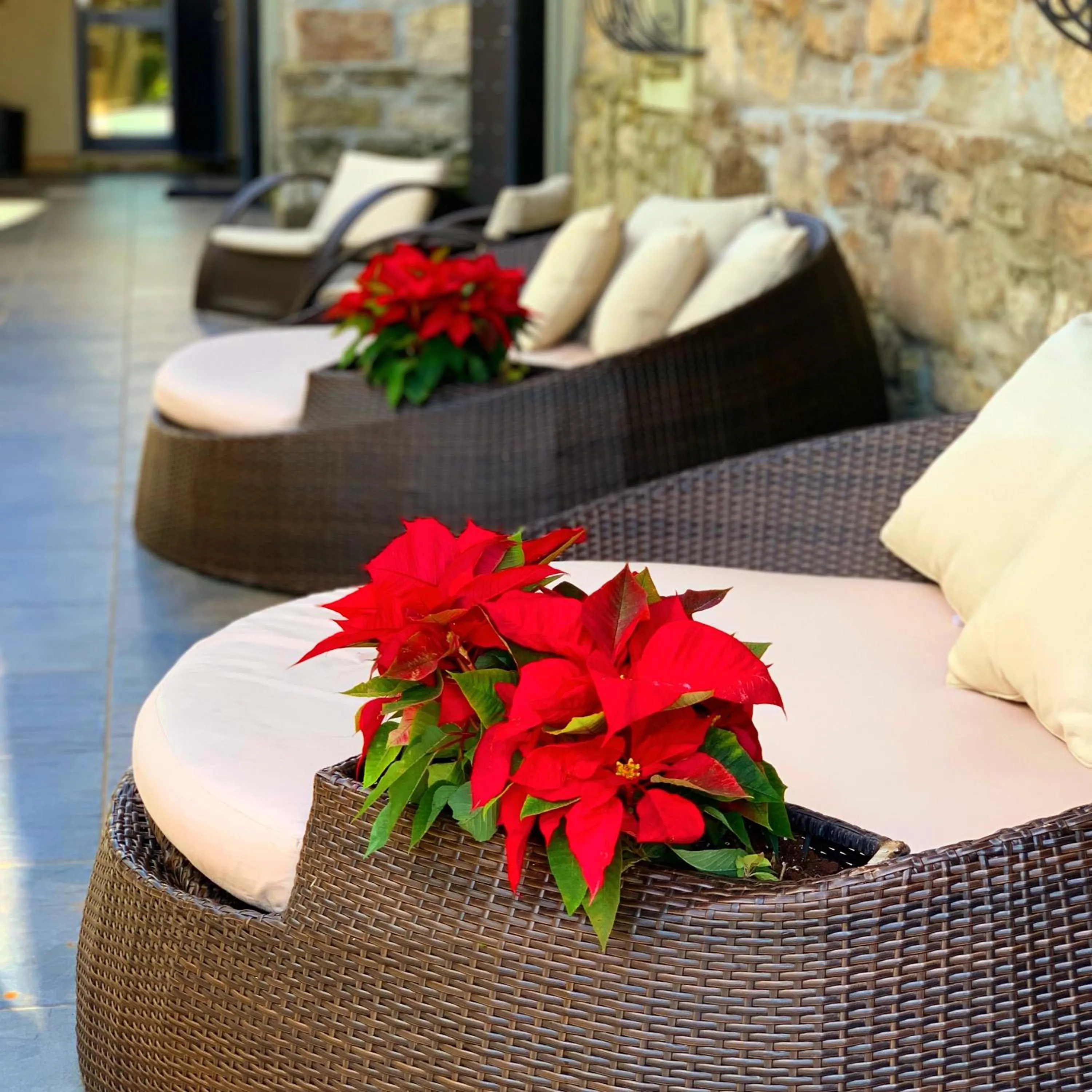 Patio in Borgo Antico XIX sec.