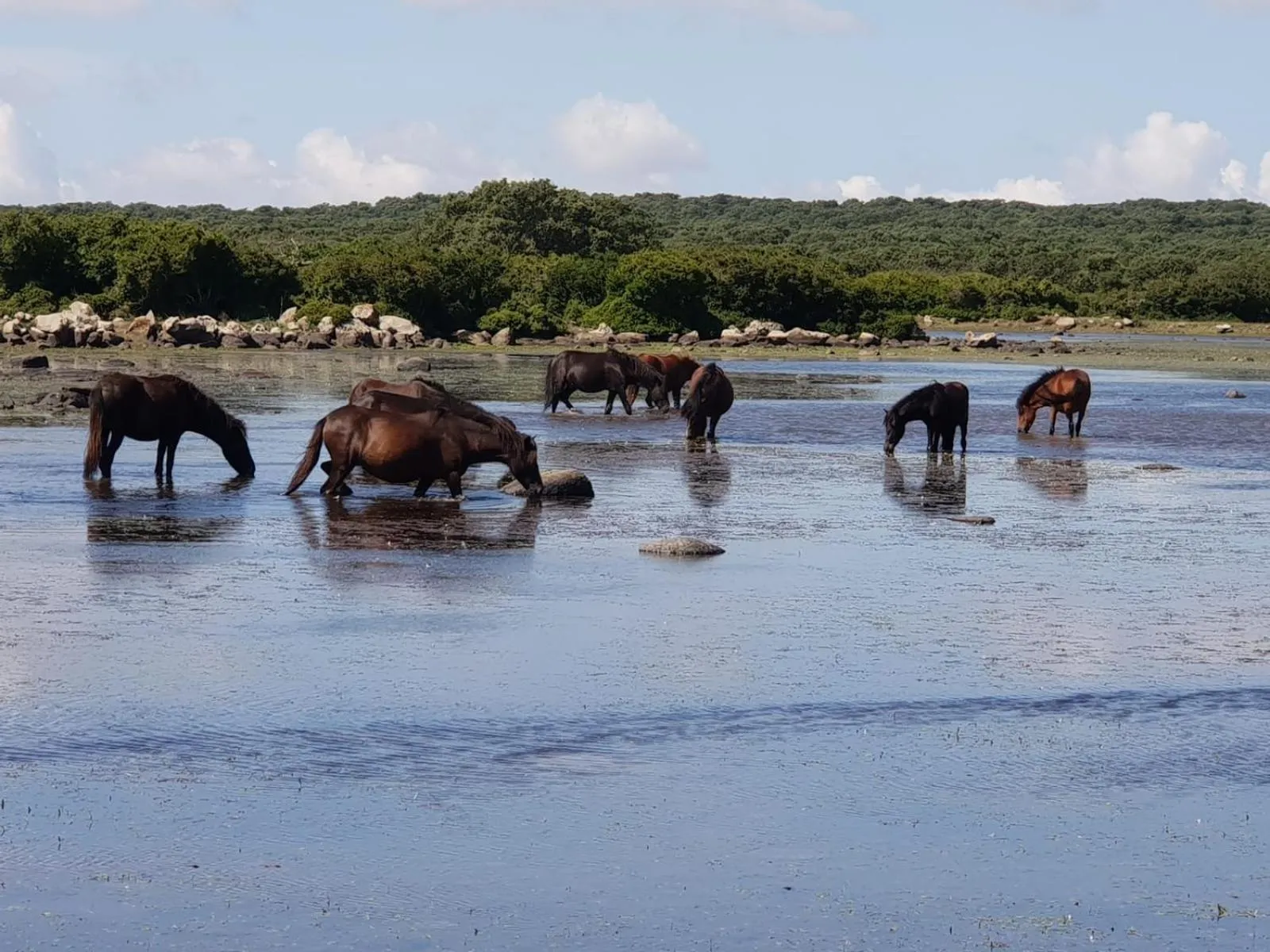 Nearby landmark in Borgo Antico XIX sec.
