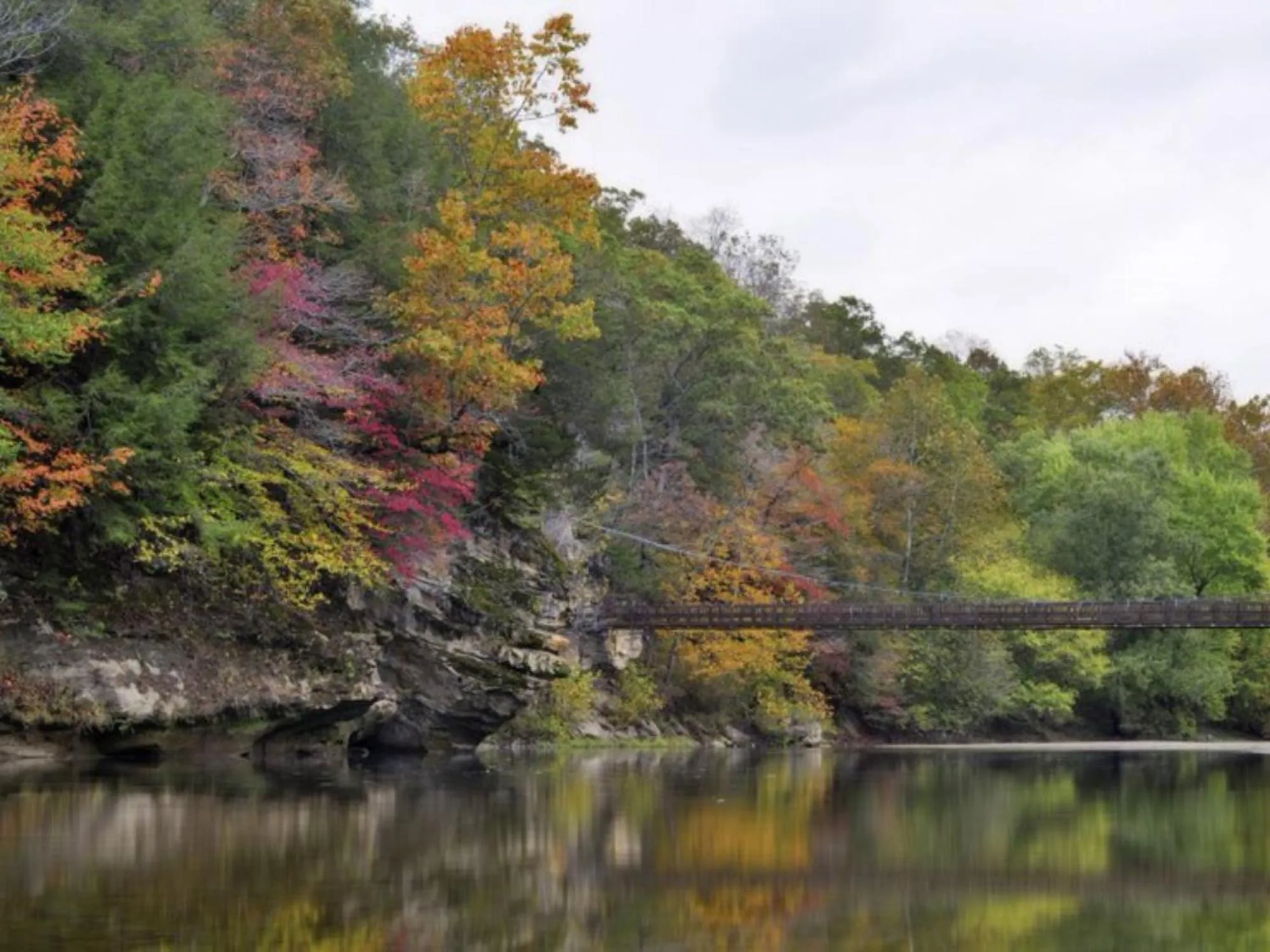 View (from property/room) in Turkey Run Inn & Cabins