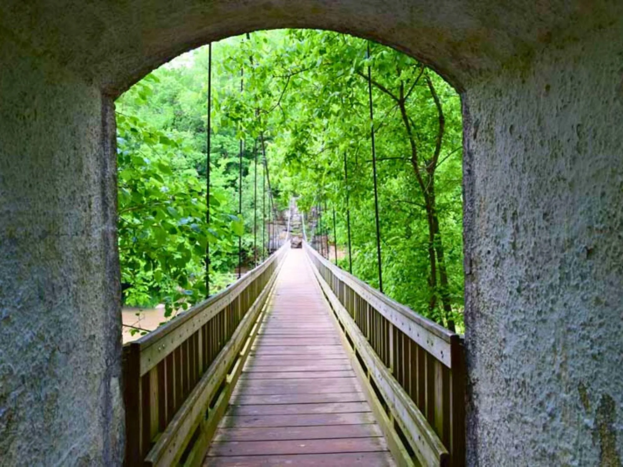 Hiking in Turkey Run Inn & Cabins