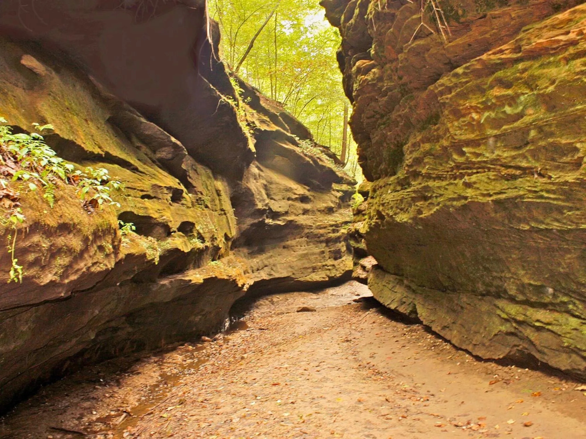 Hiking in Turkey Run Inn & Cabins