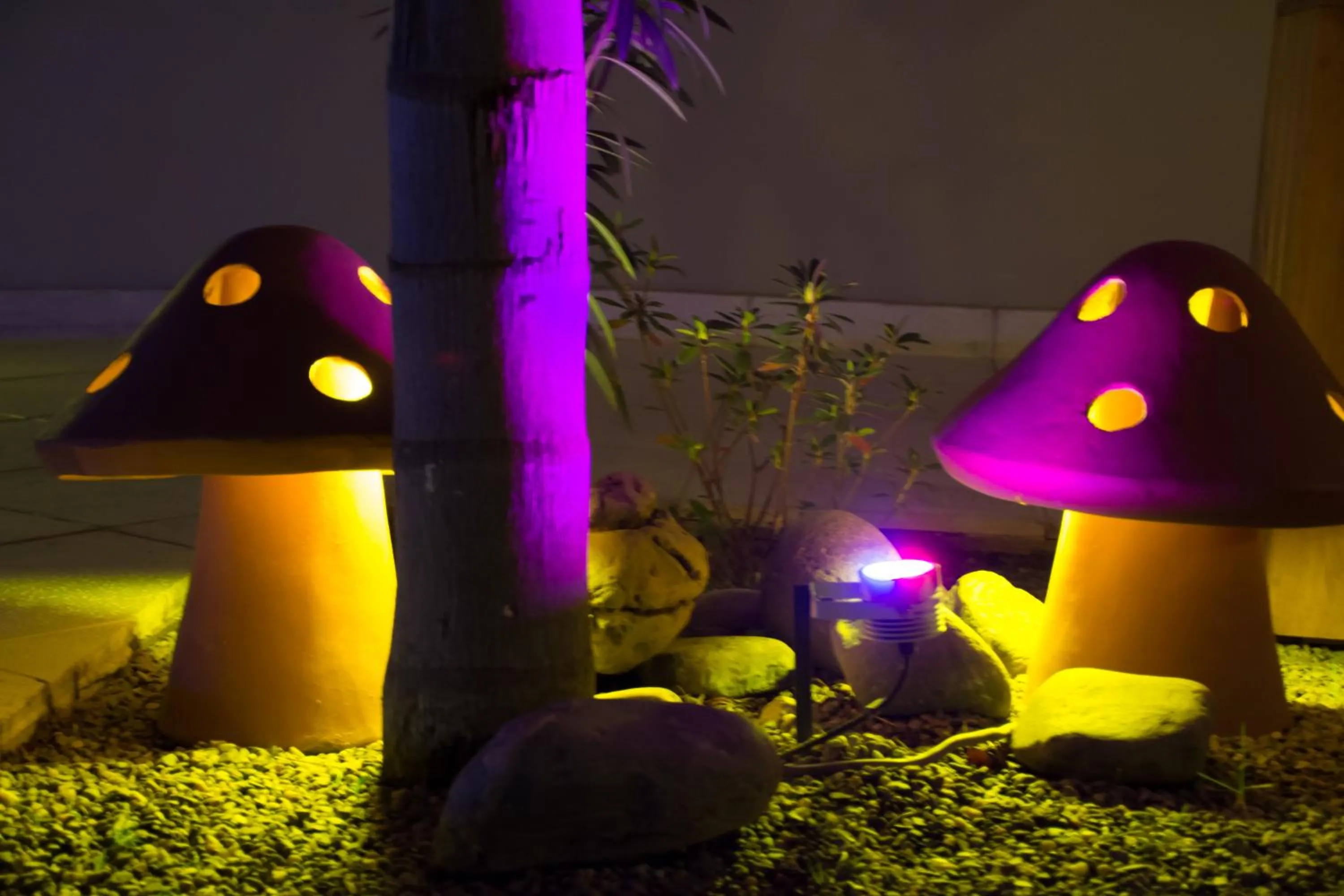 Animals in Hotel Termal Emperatriz Termas de Río Hondo