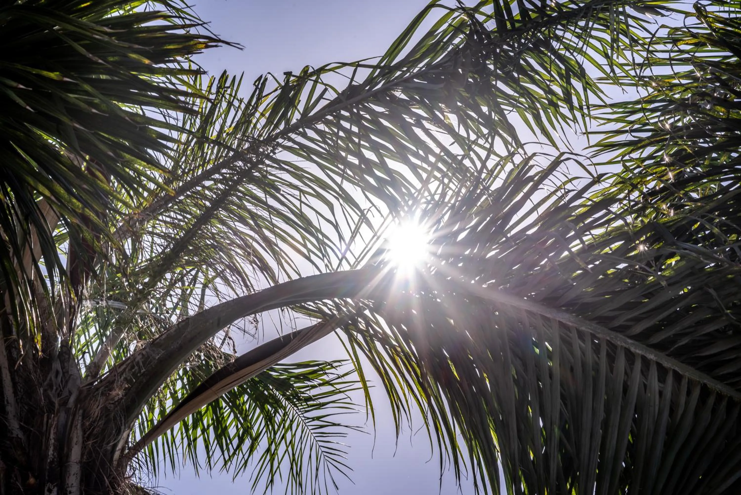 Natural landscape in Hotel Termal Emperatriz Termas de Río Hondo