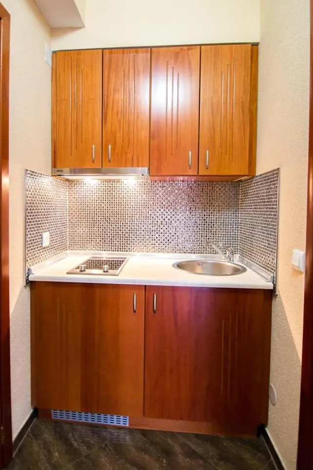 Kitchen or kitchenette in Villa Dislievski