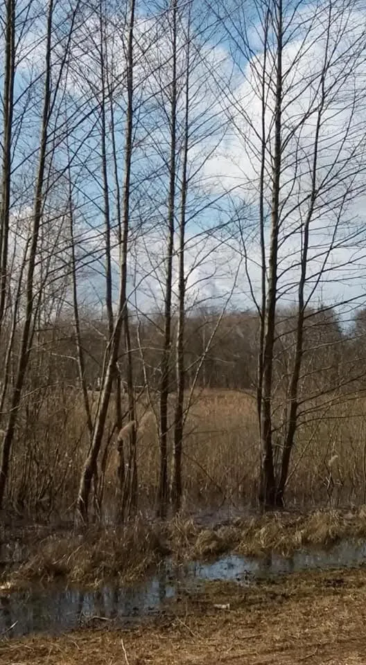 Area and facilities in Landhotel "Zum ersten Siedler"