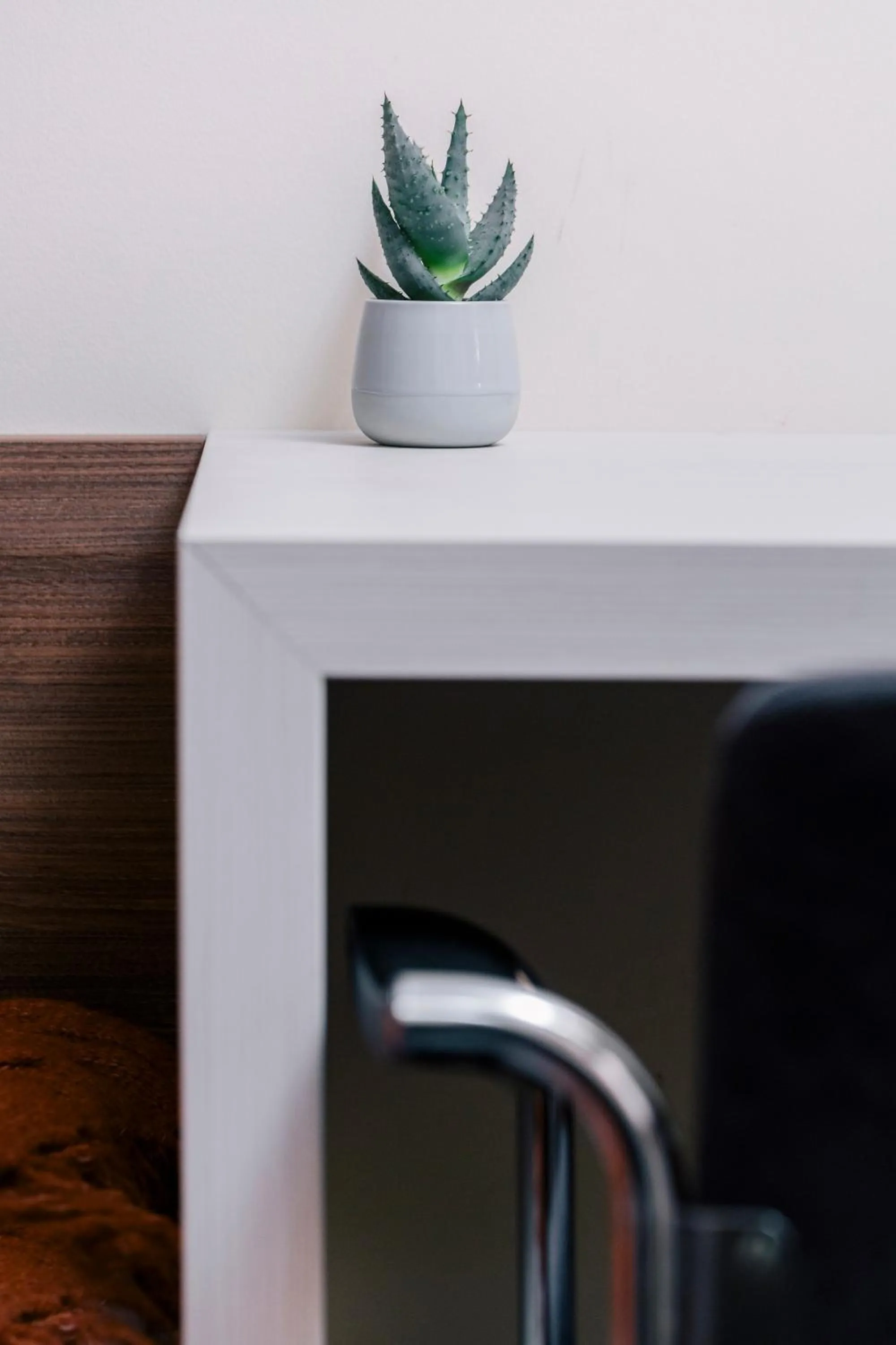 Decorative detail in Veliki Garni Hotel