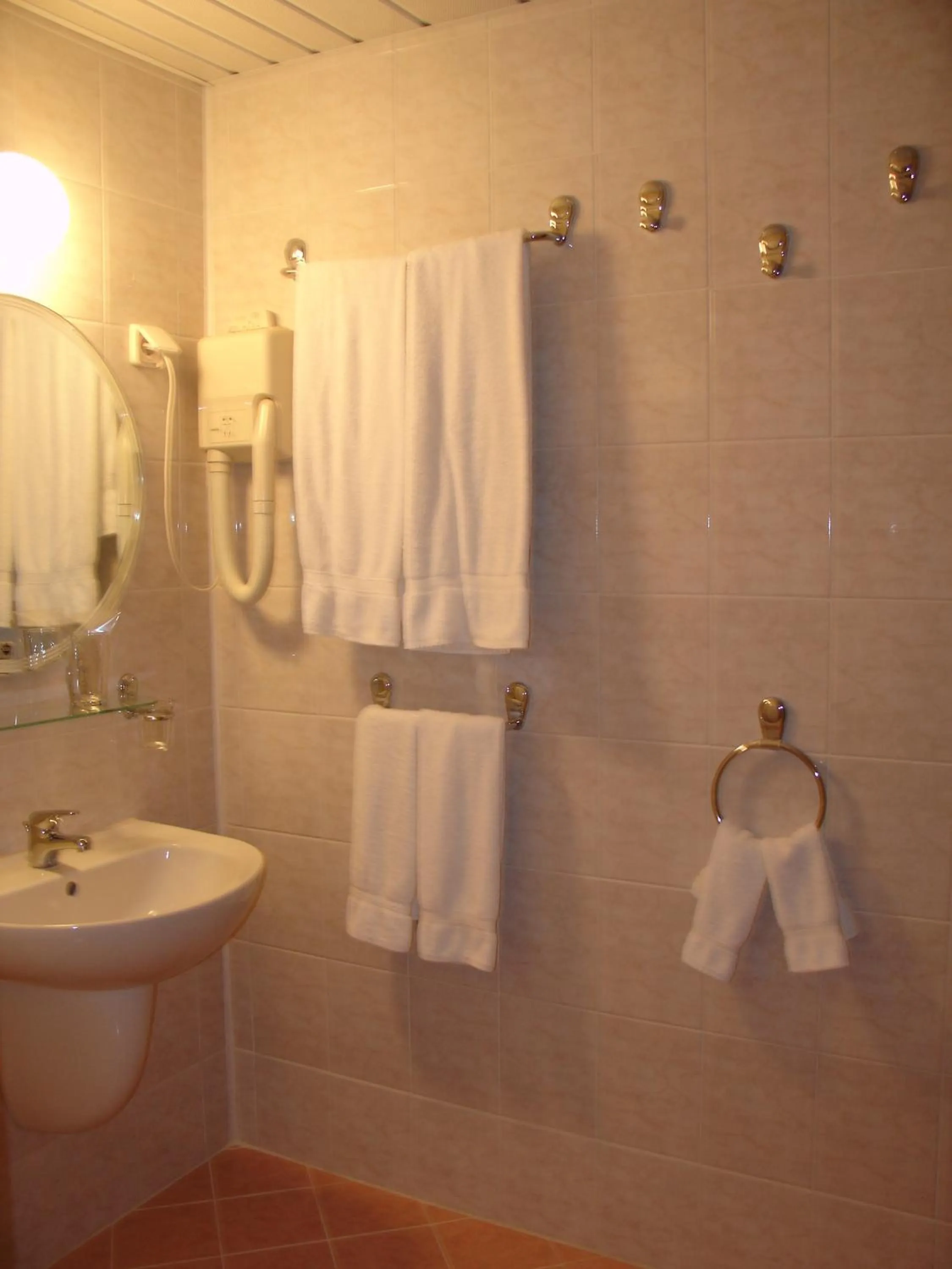 Shower in Hotel Klisura