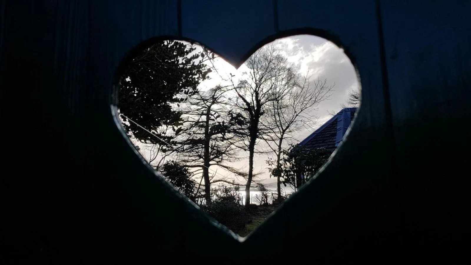 Sea view in The Old Cottage