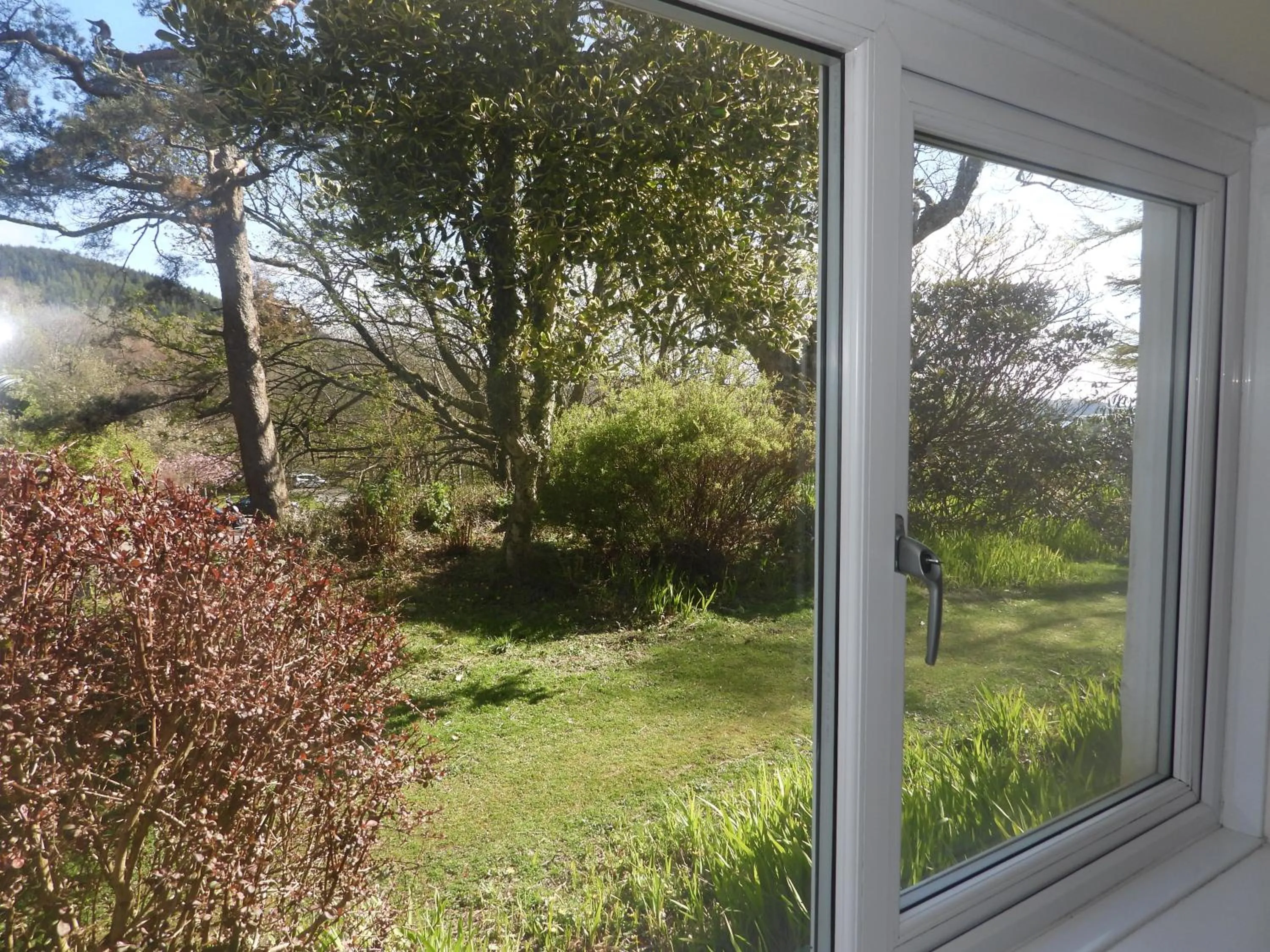 View (from property/room) in The Old Cottage