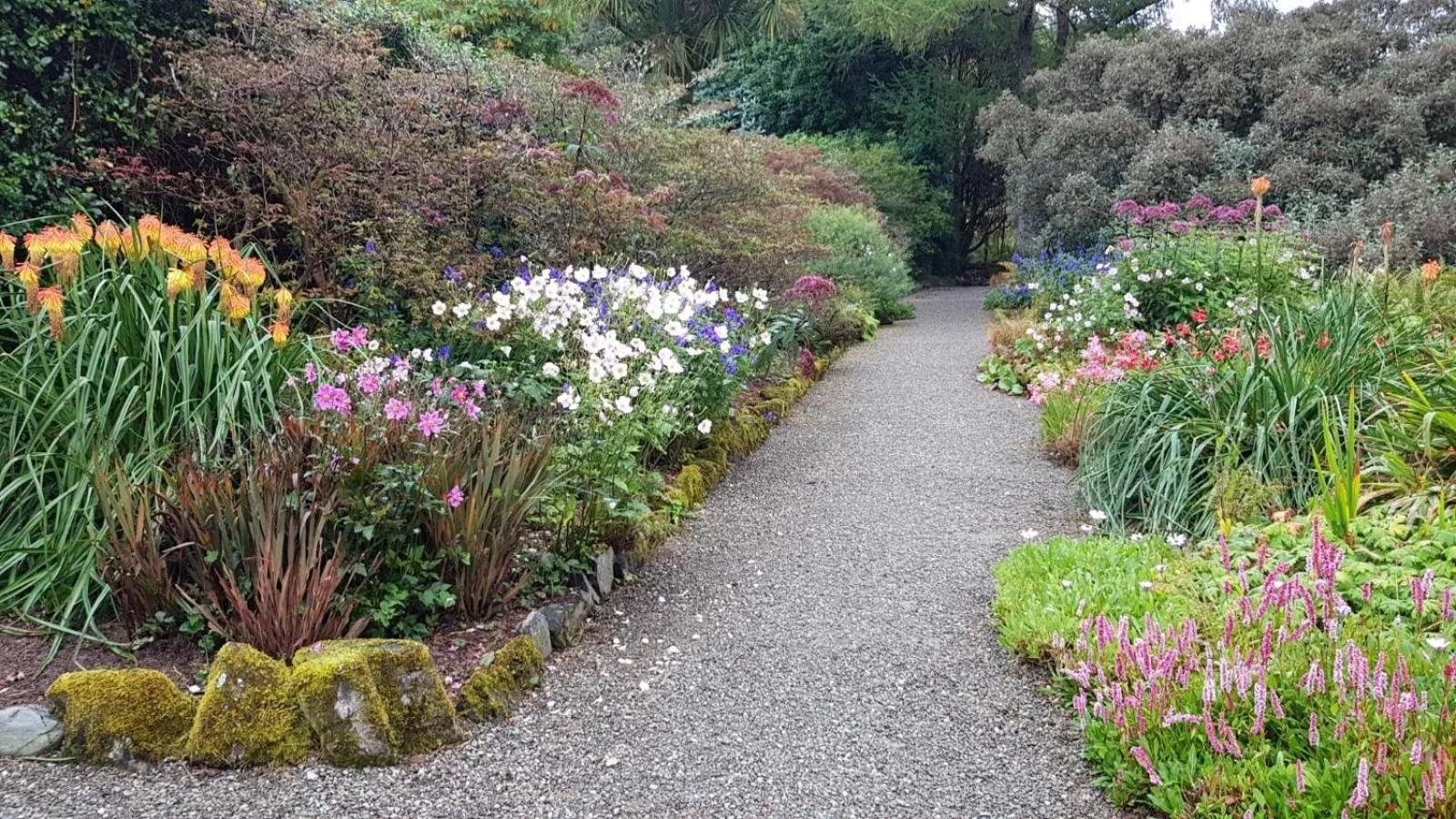 Natural landscape in The Old Cottage