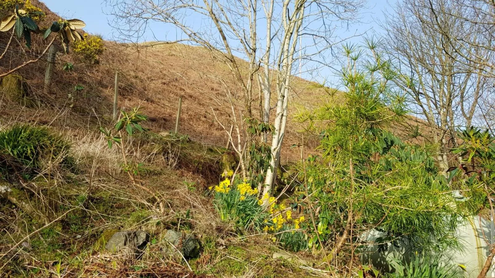 Garden view in The Old Cottage