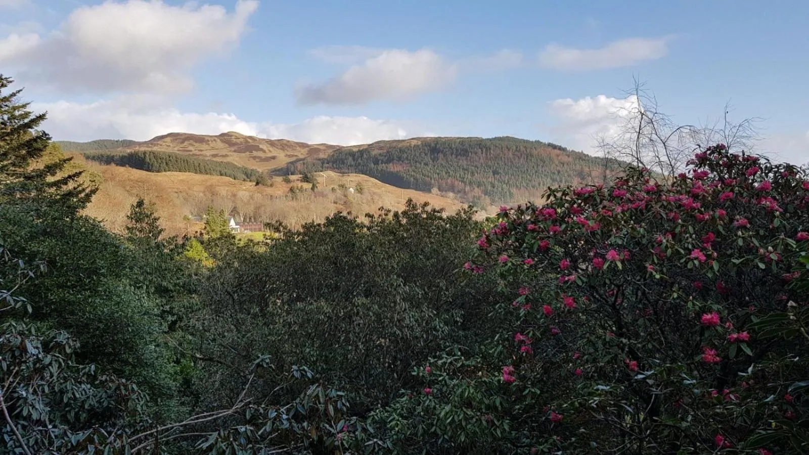 Natural landscape in The Old Cottage