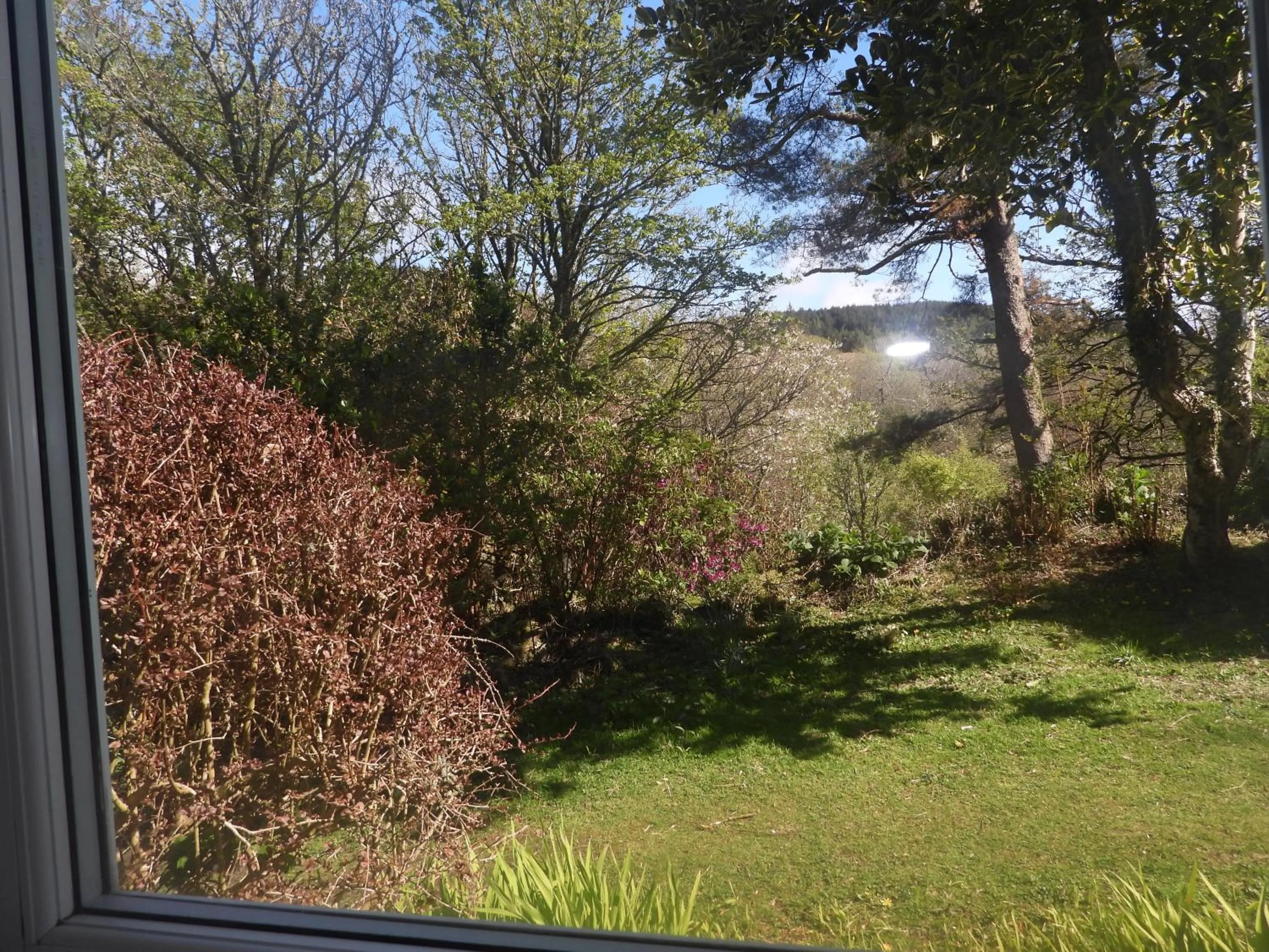 View (from property/room) in The Old Cottage
