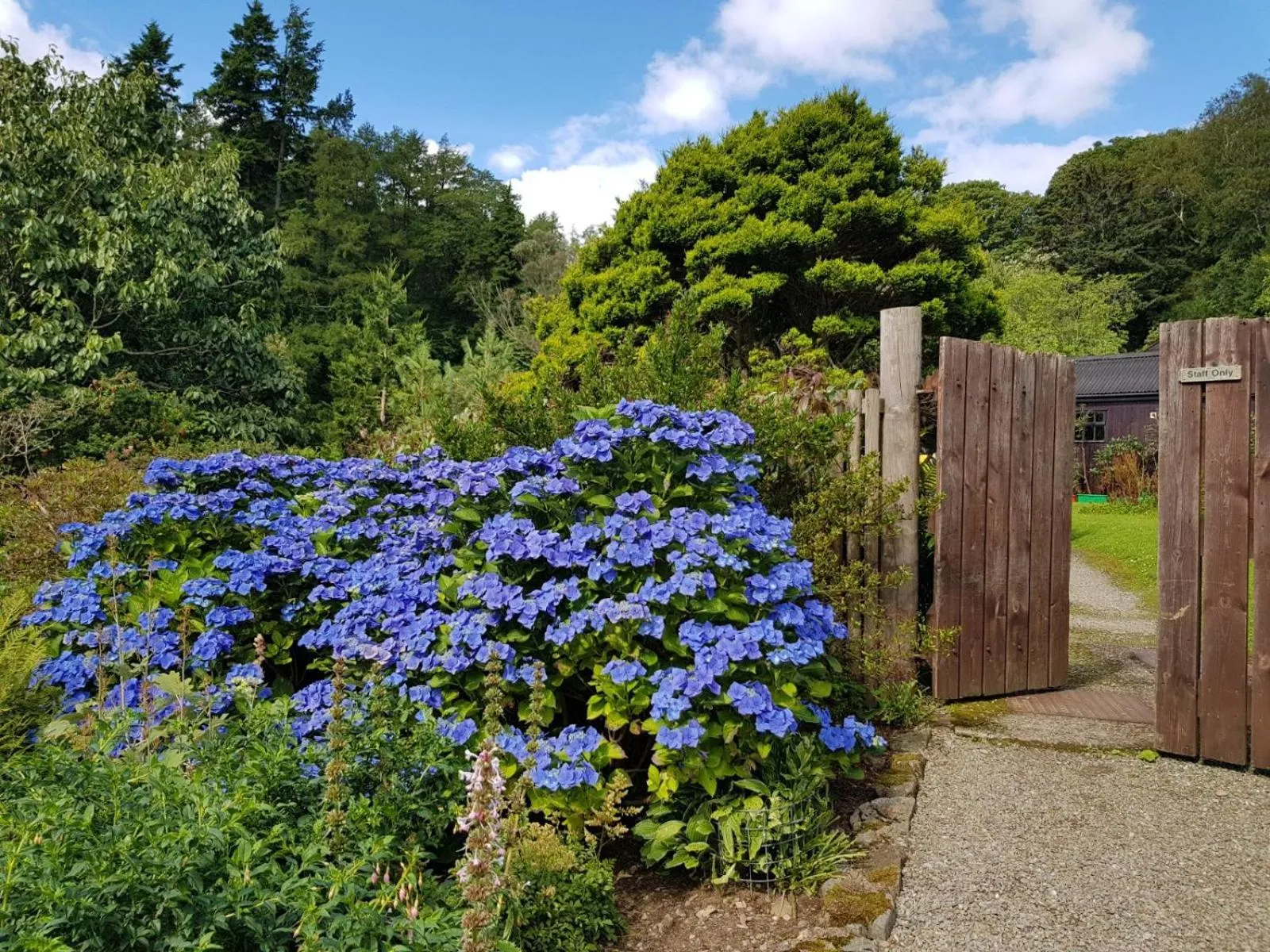 Natural landscape in The Old Cottage
