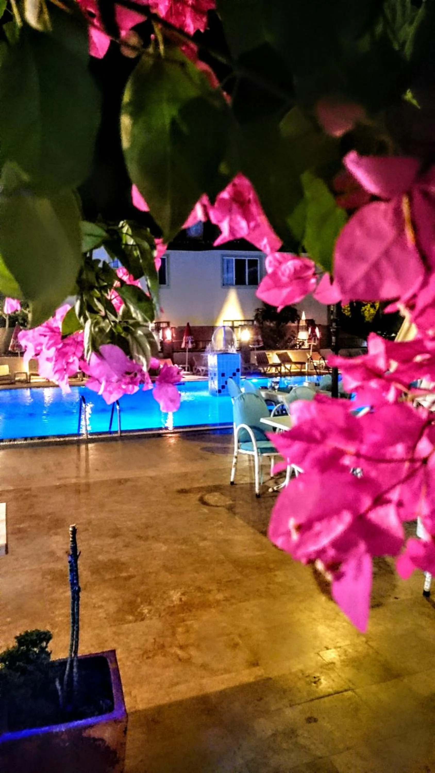 View (from property/room), Swimming Pool in Dalyan Hotel Caria Royal