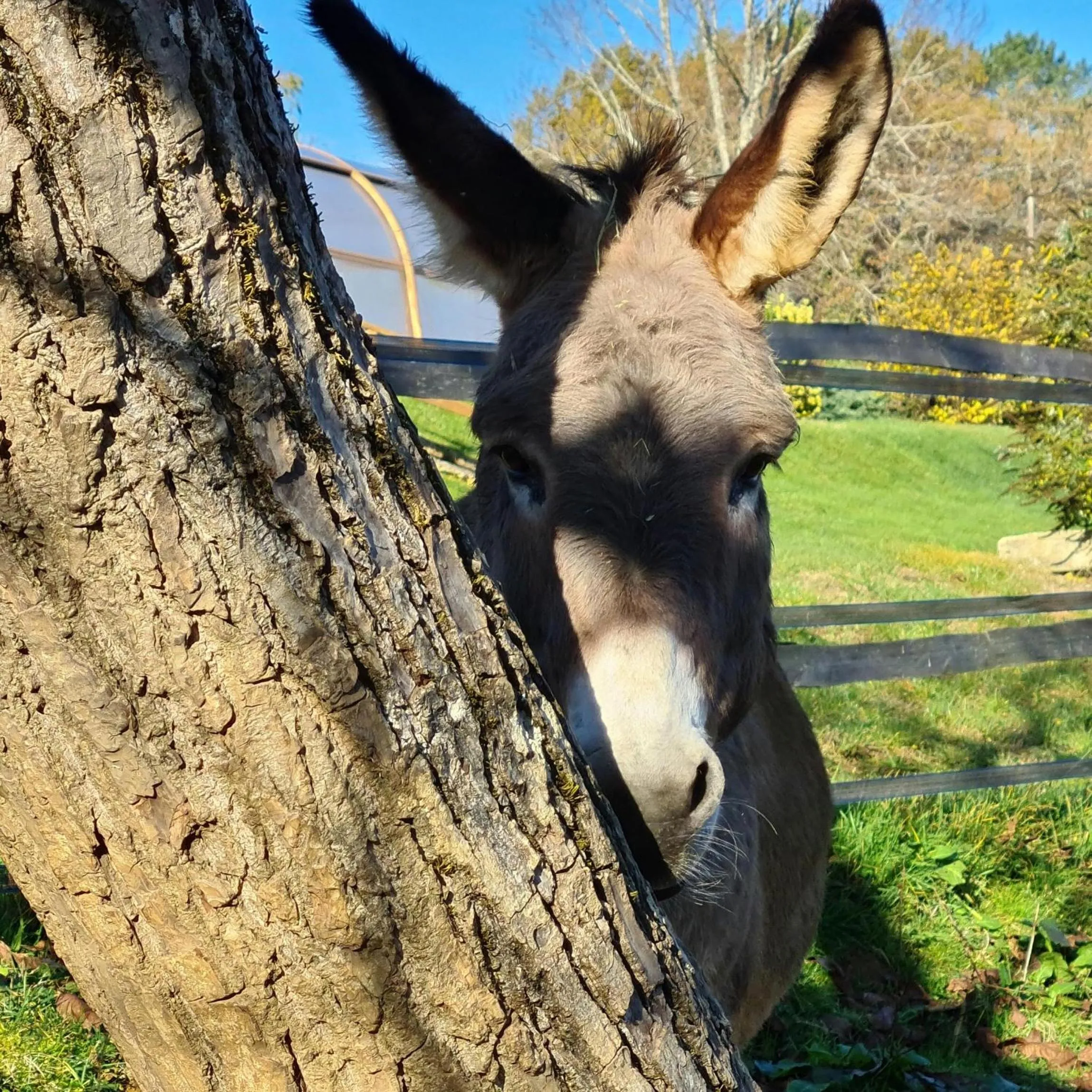 Domaine de La Rhonie