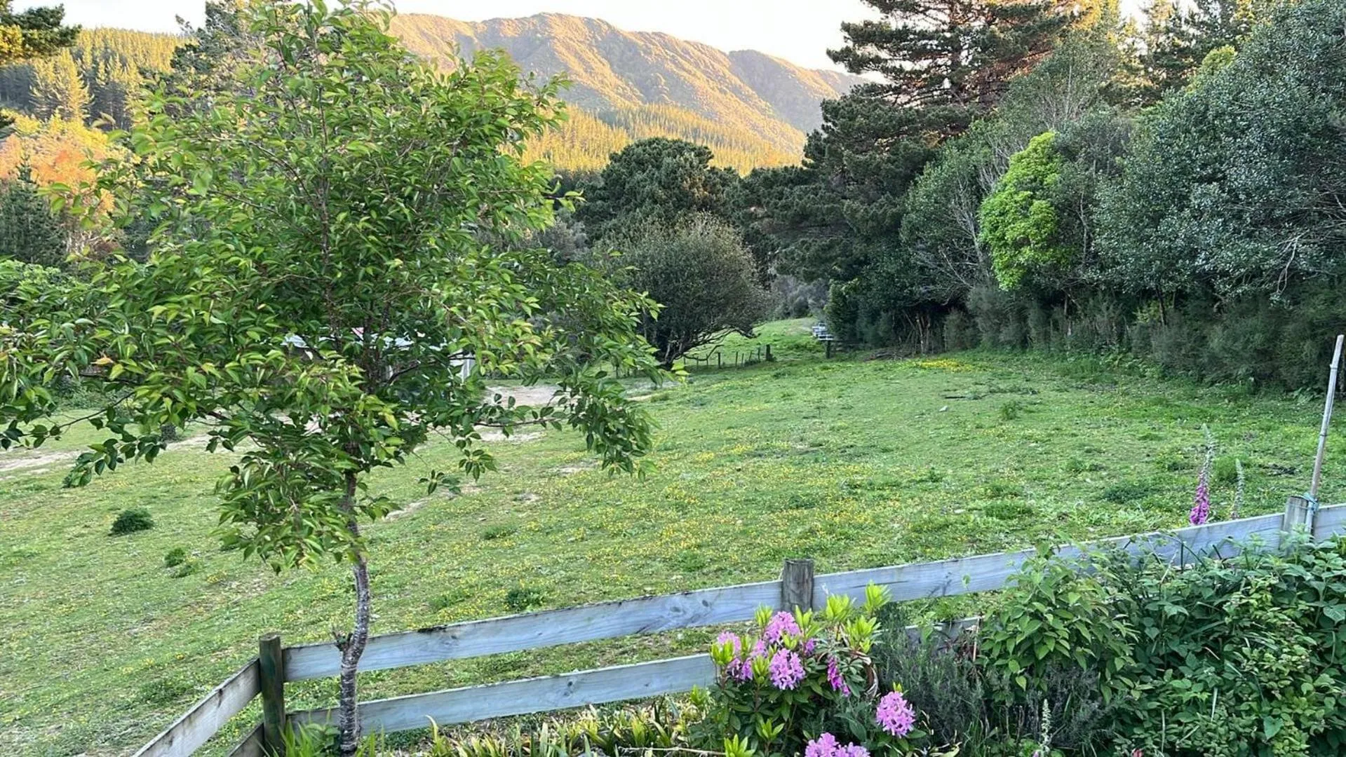 Mountain view in Incline Cottage