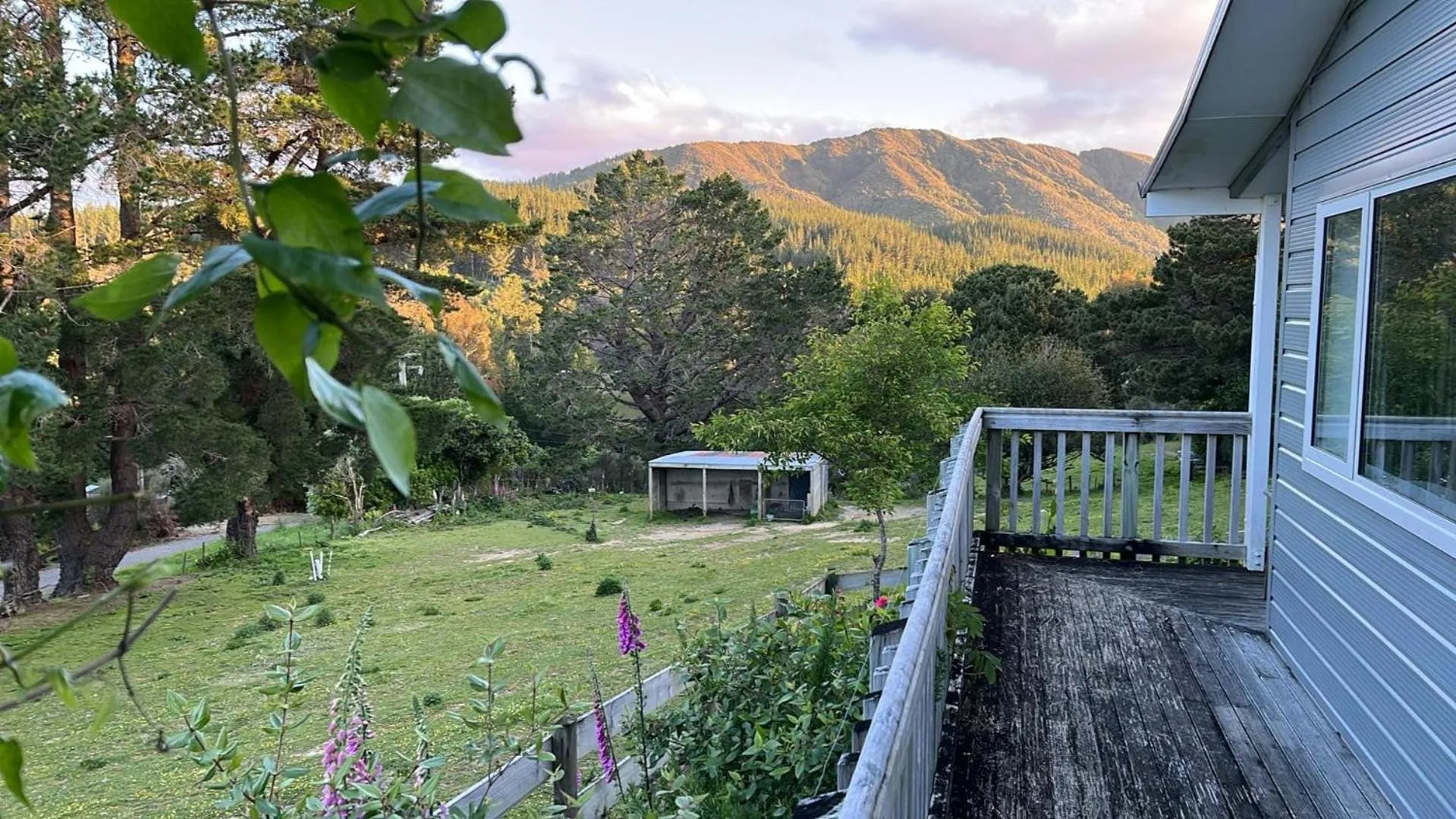 Mountain view in Incline Cottage