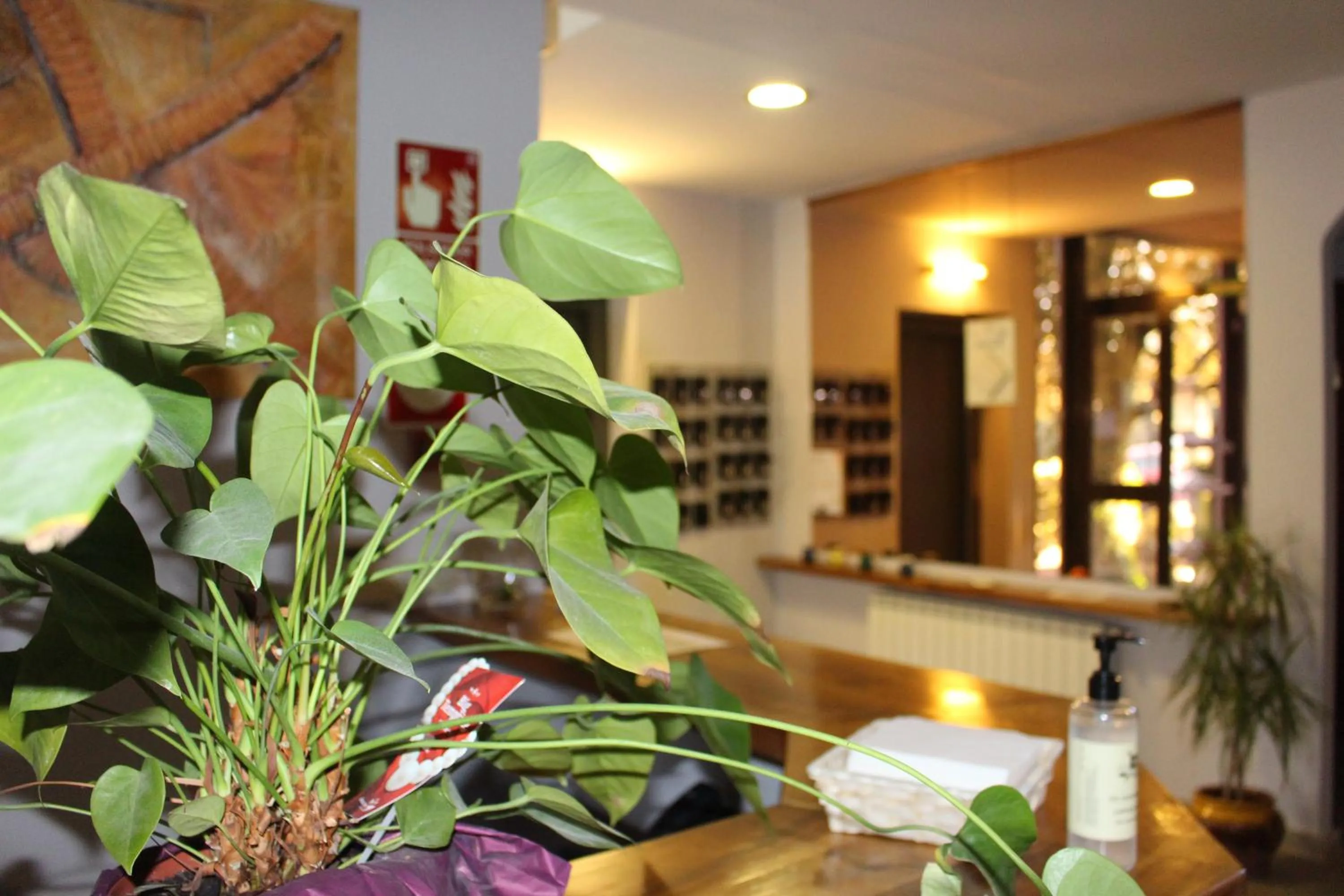 Lobby or reception in Hotel Seva