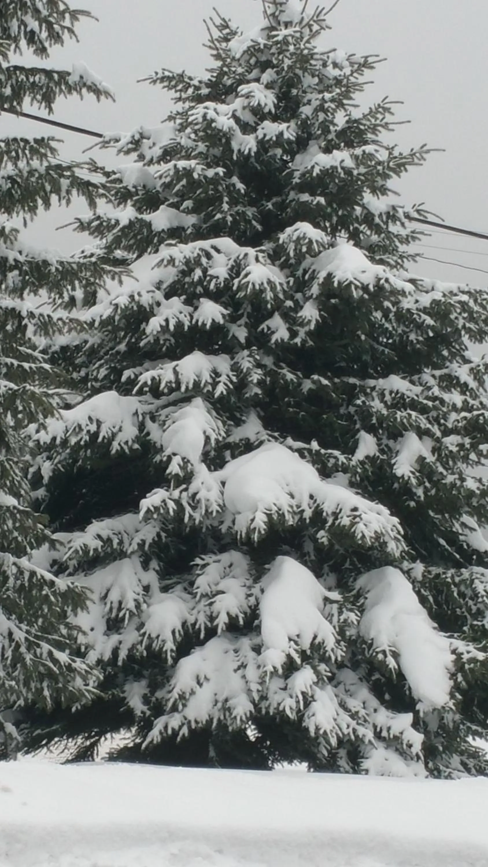 View (from property/room) in Evening Star Motel