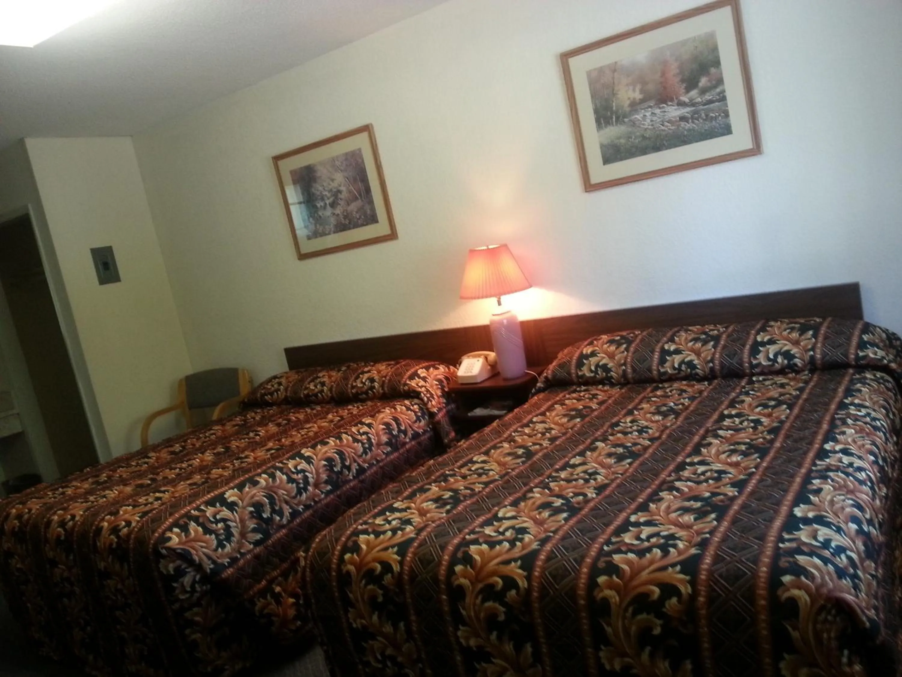 Bed in Evening Star Motel