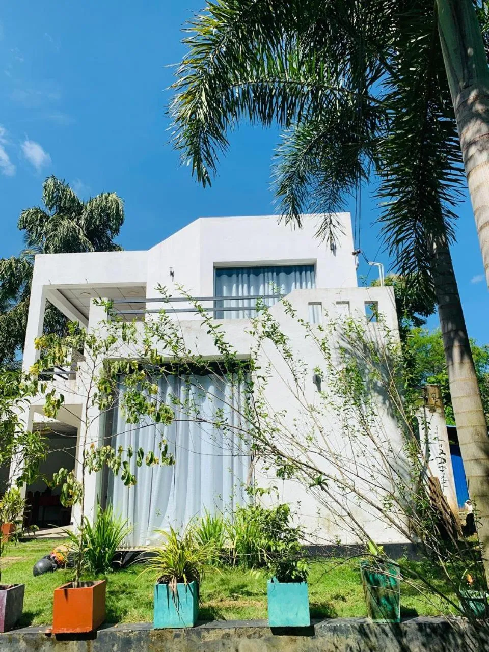 Cassia Udawalawe