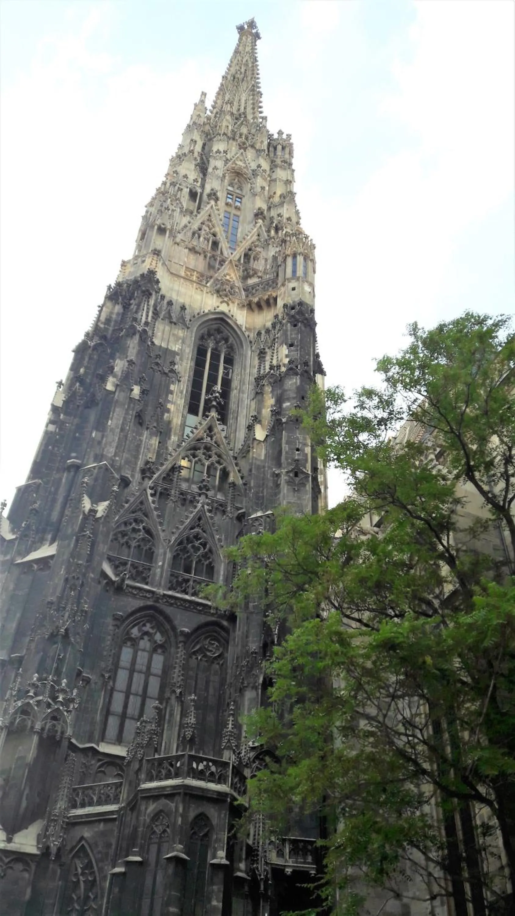 At St. Stephan
