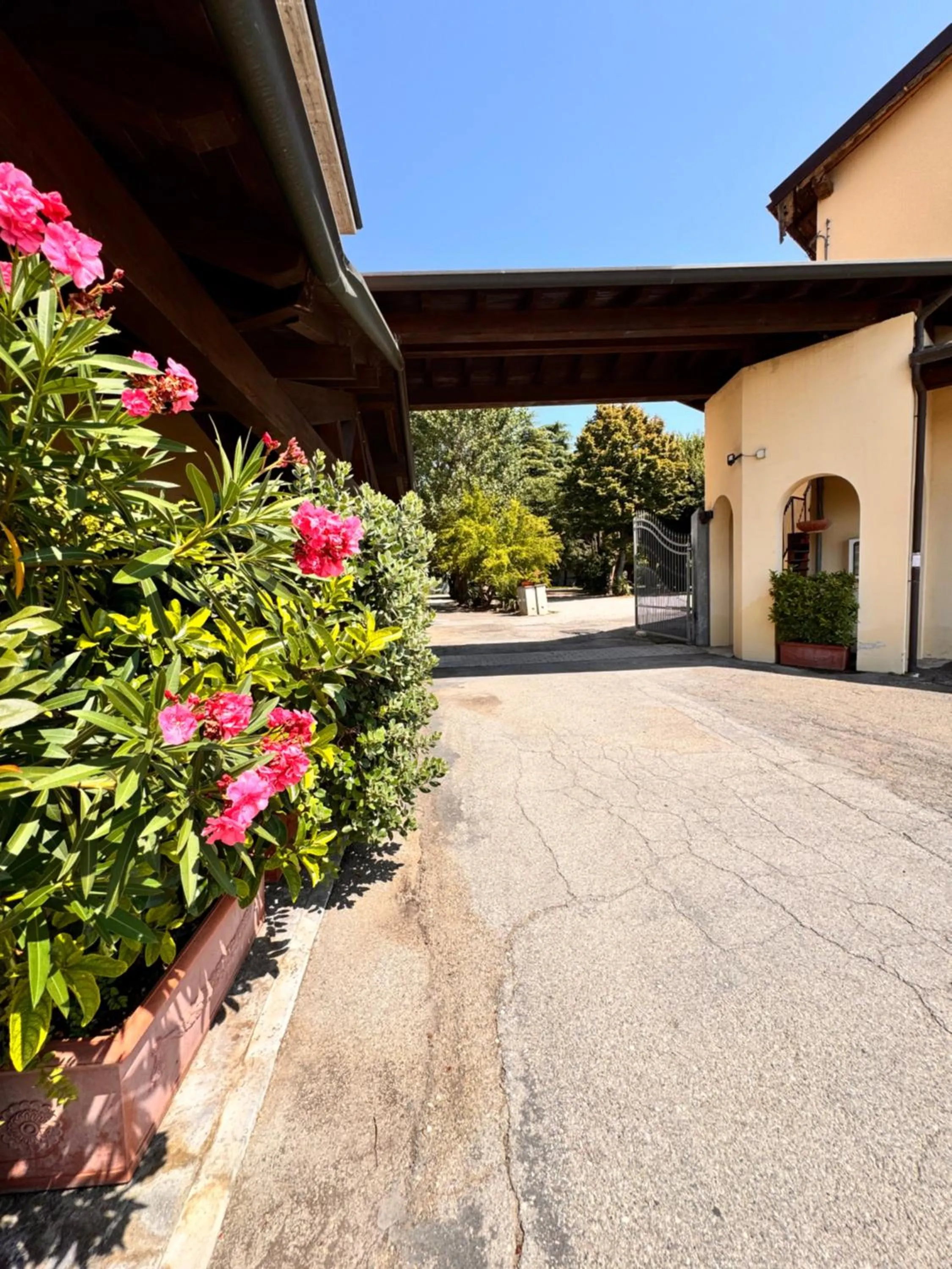 Property building in Hotel Fattori