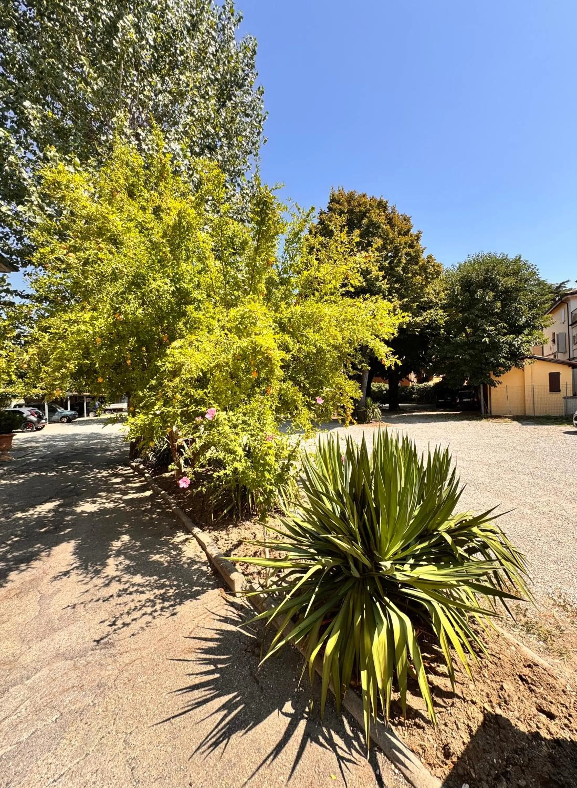 Property building in Hotel Fattori