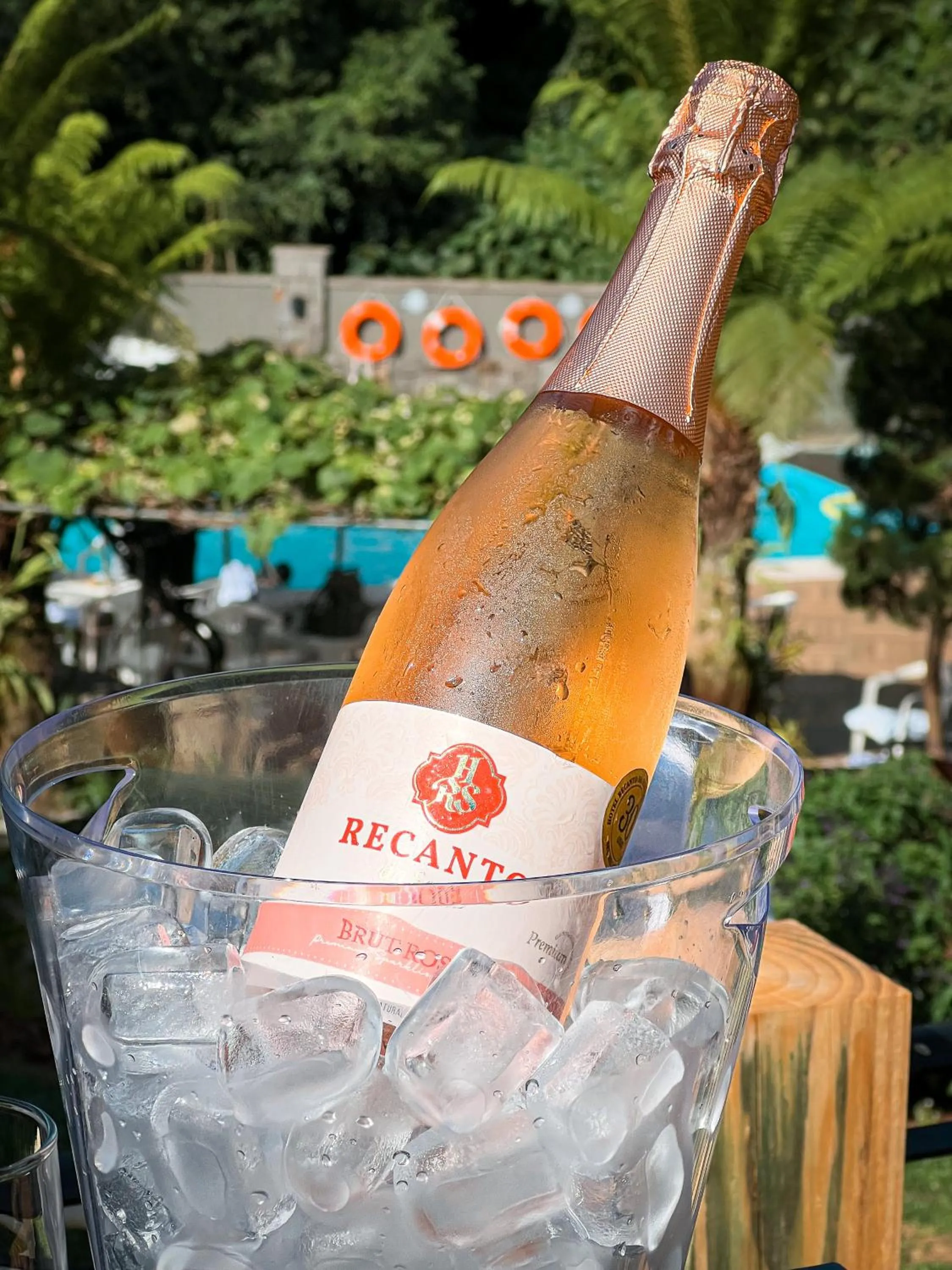 Hotel Recanto da Serra