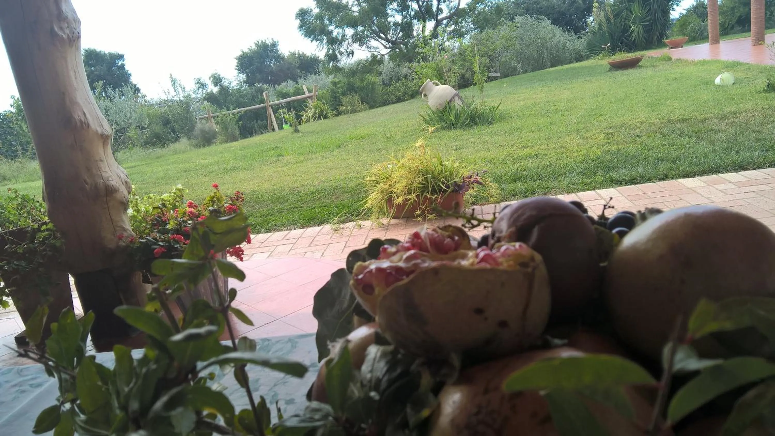 Garden view in B&B Macchia d'Olmo