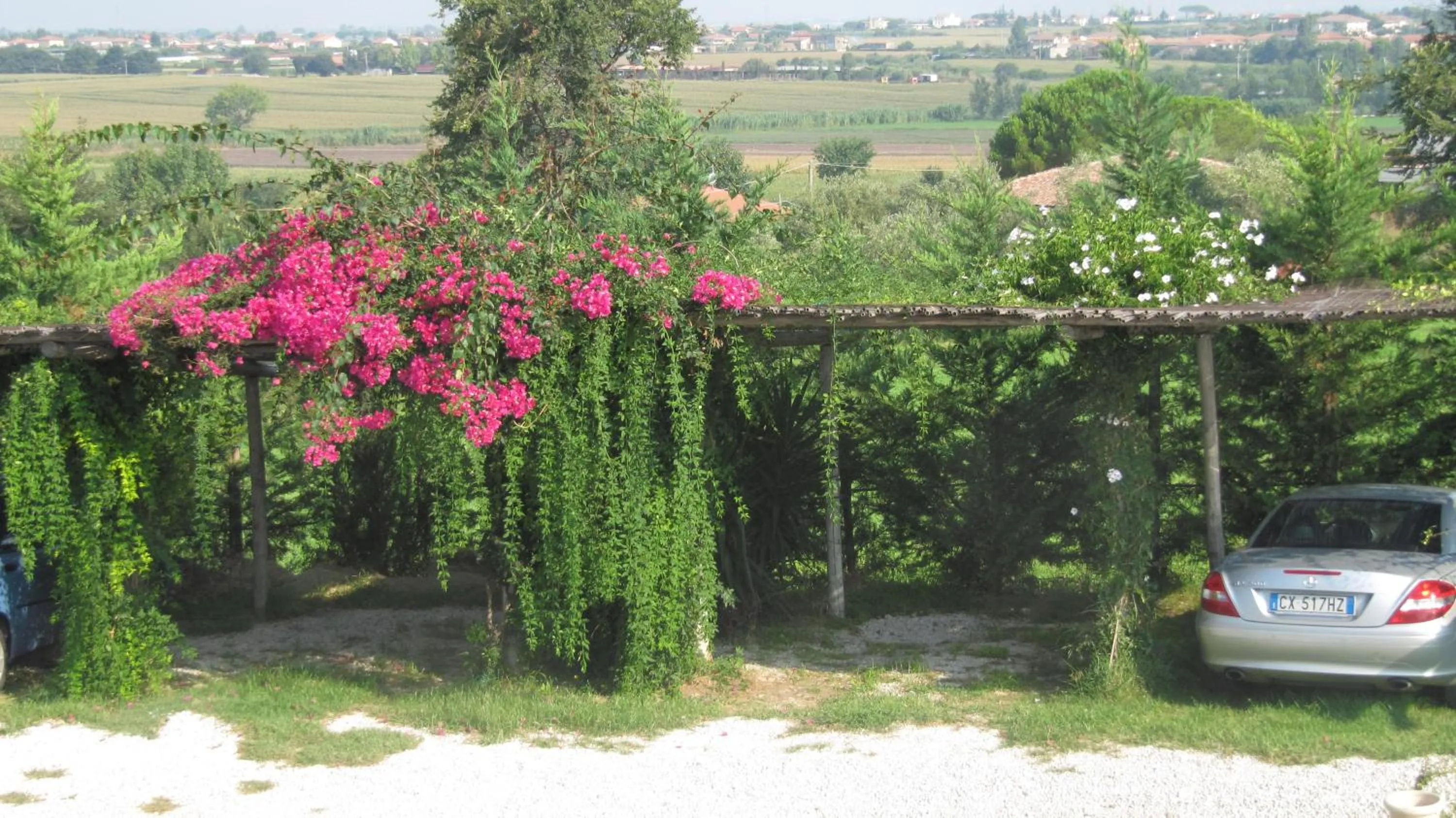 Parking in B&B Macchia d'Olmo