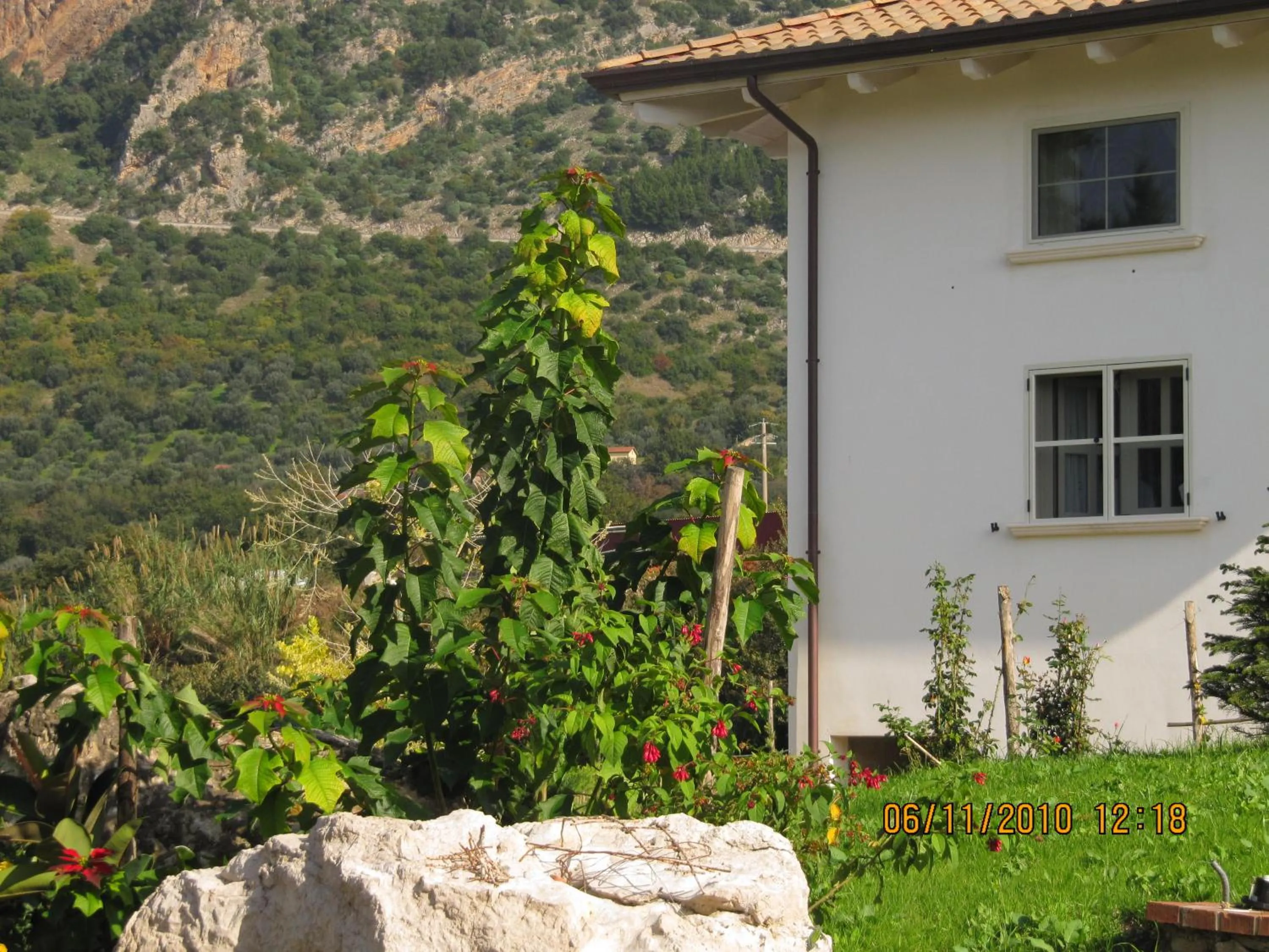 Mountain view in B&B Macchia d'Olmo