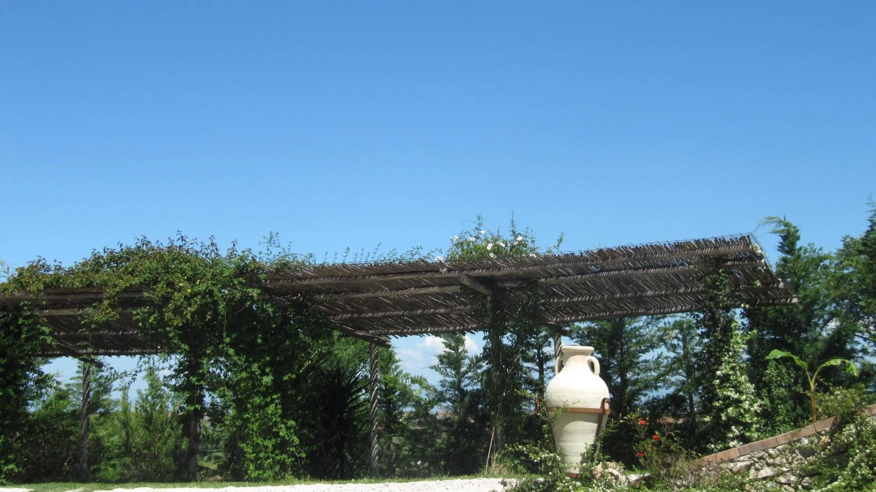 Parking in B&B Macchia d'Olmo