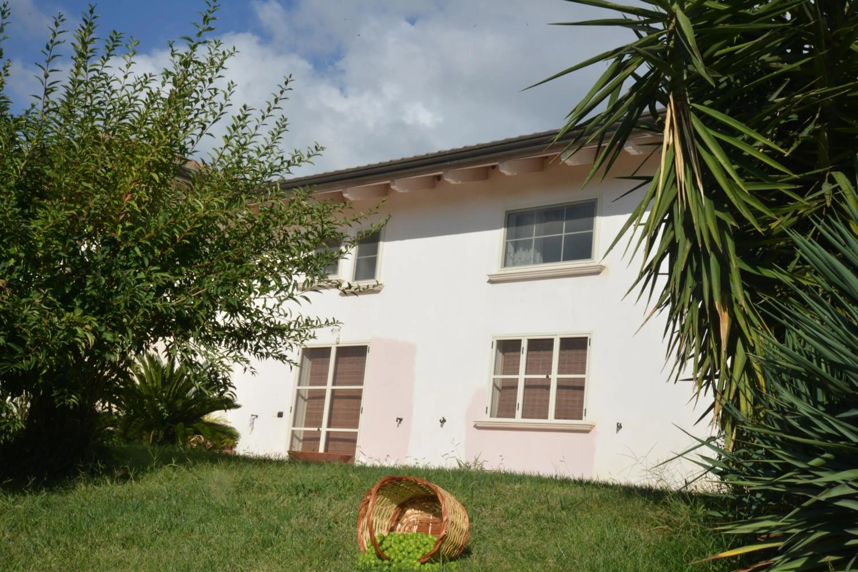 Garden view in B&B Macchia d'Olmo