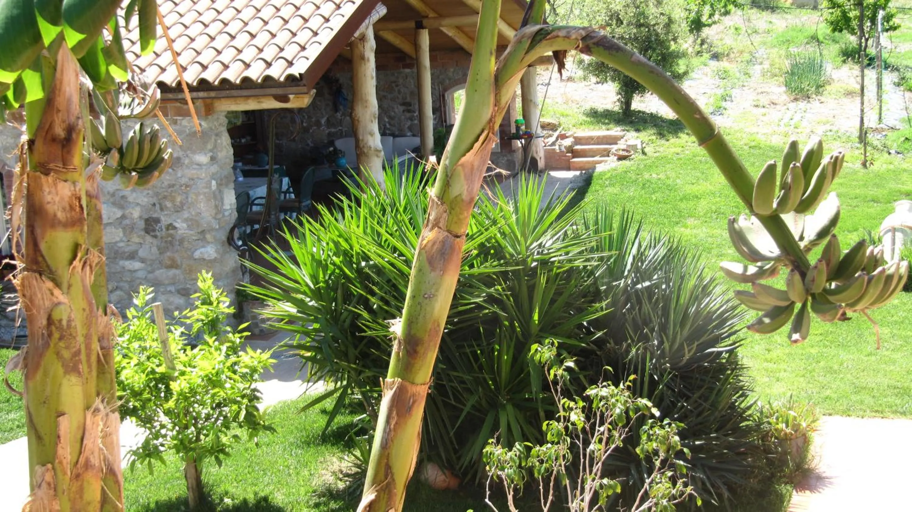Garden view in B&B Macchia d'Olmo