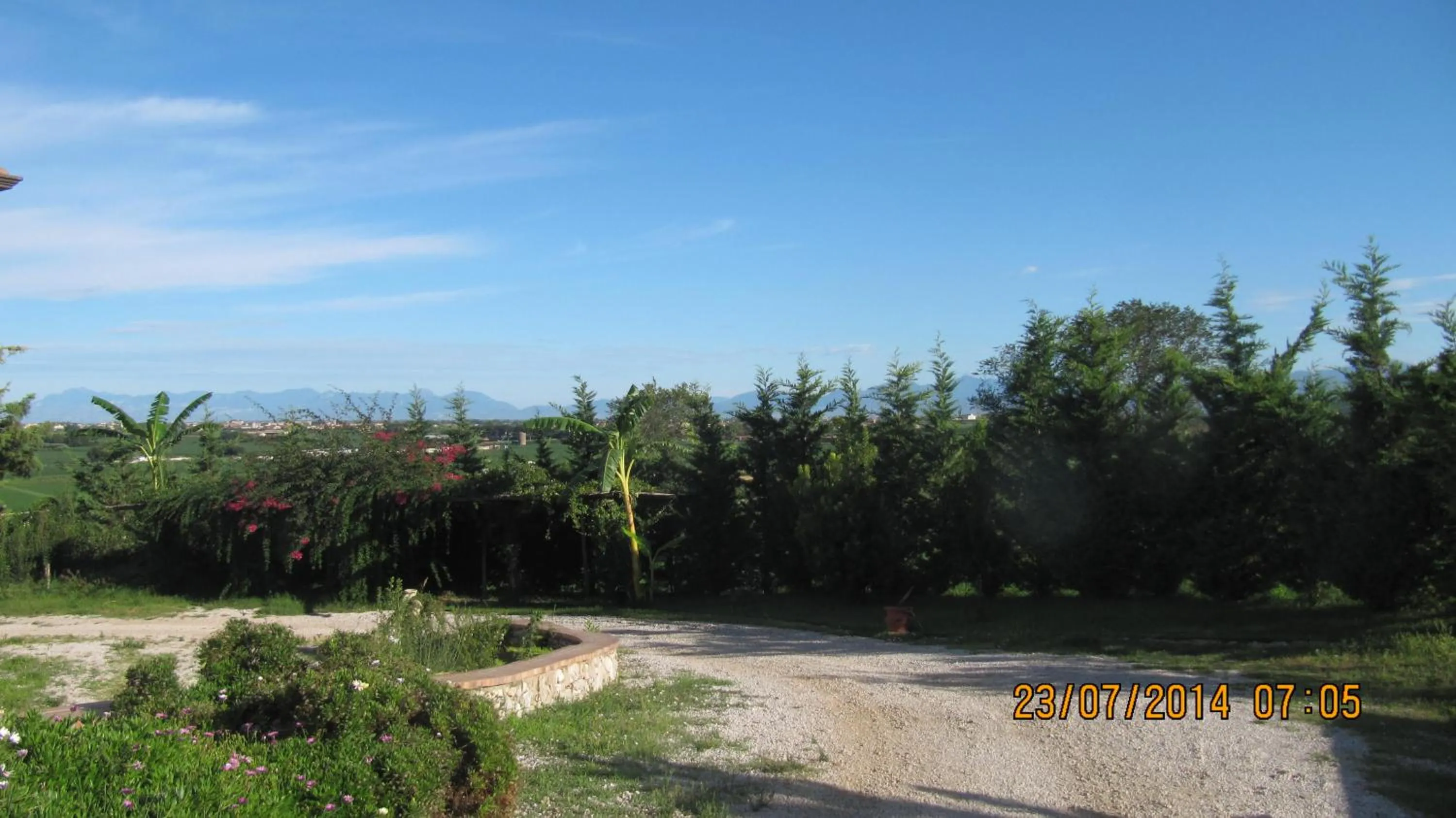 Sea view in B&B Macchia d'Olmo