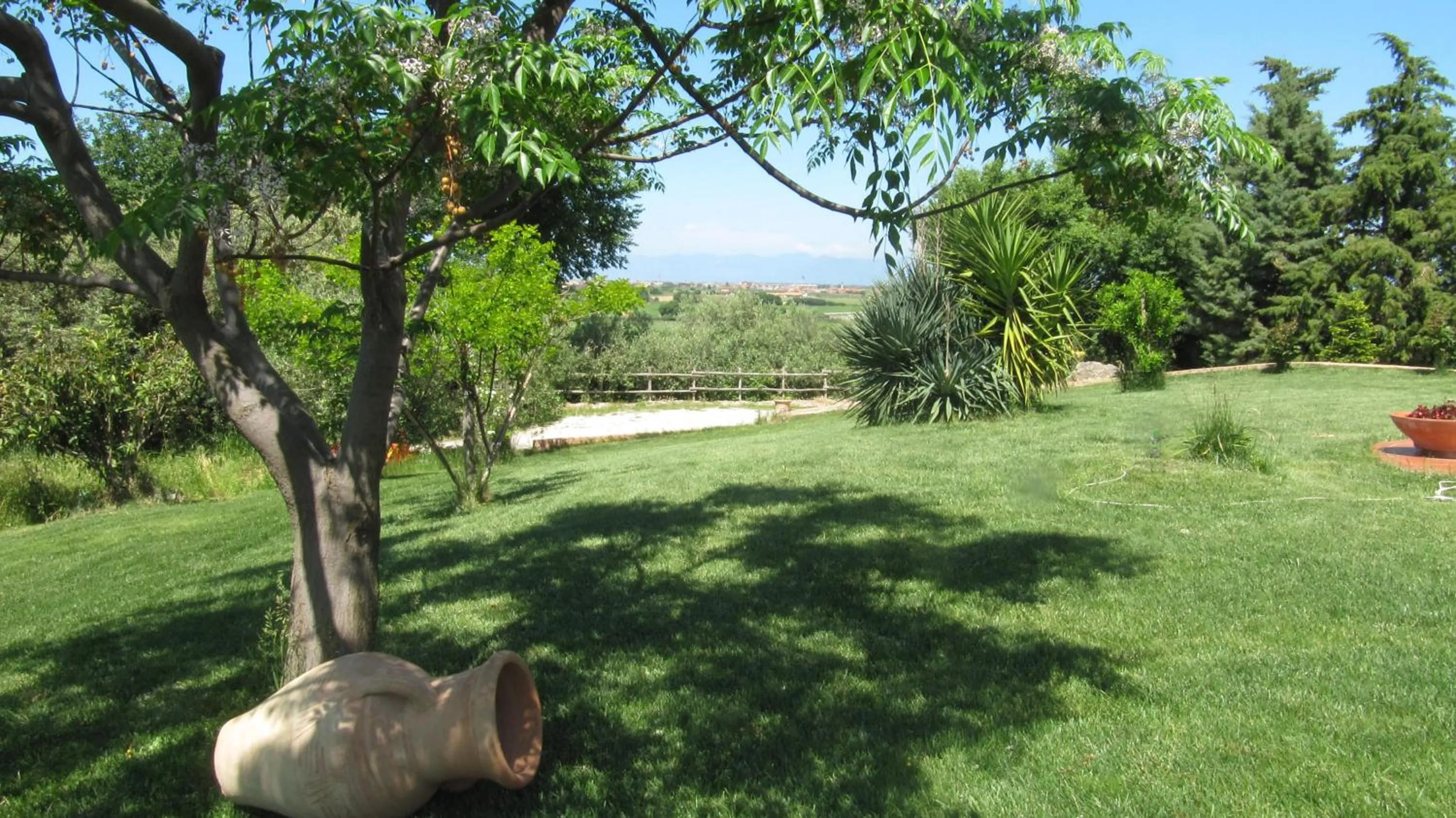 Garden view in B&B Macchia d'Olmo
