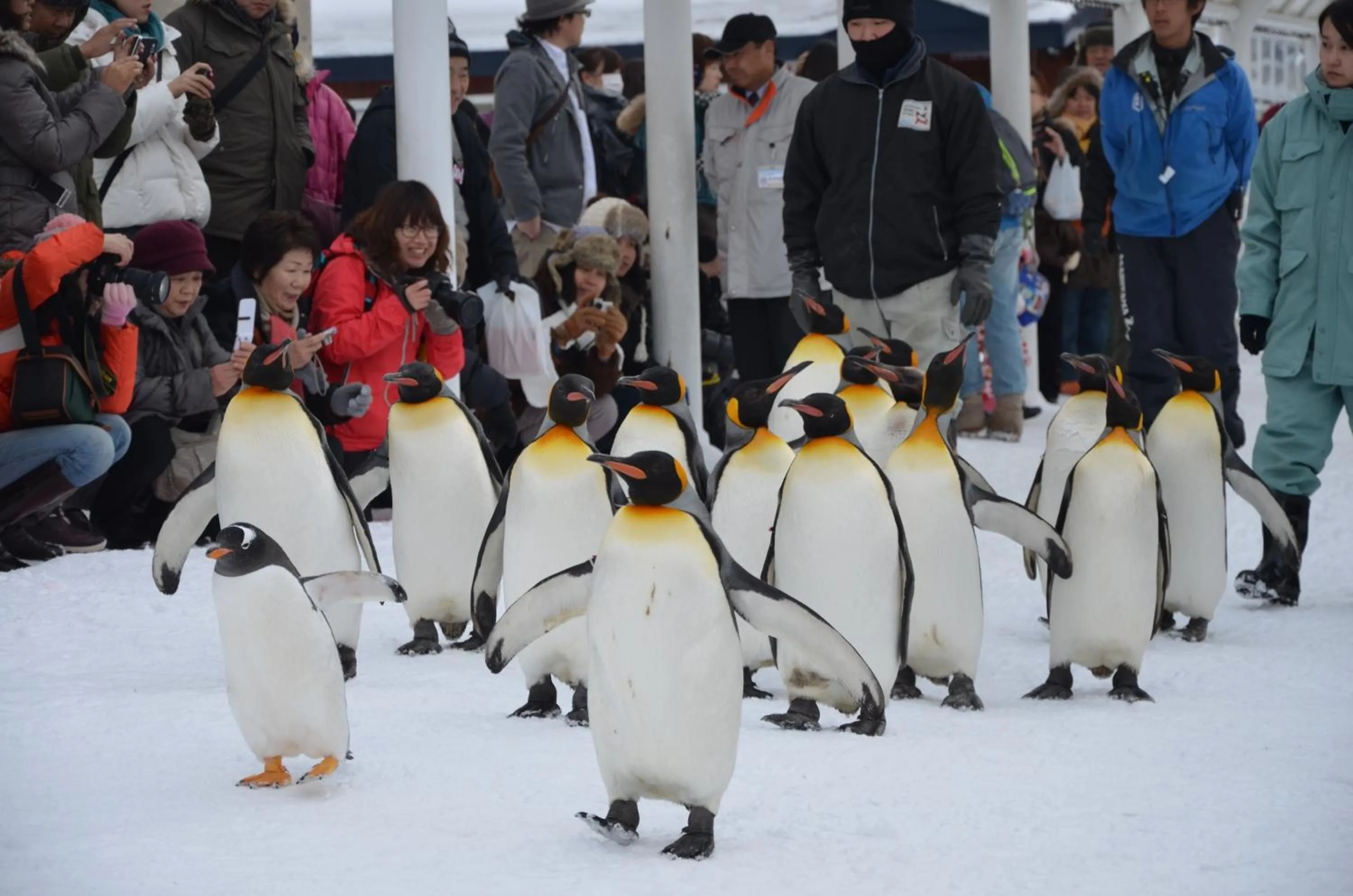 Nearby landmark in Art Hotel Asahikawa