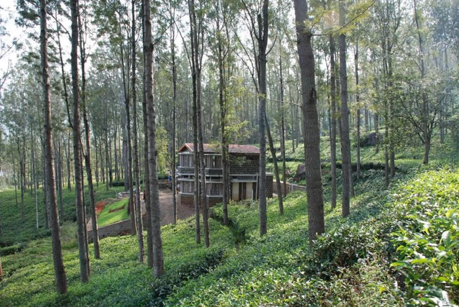 Relaxing 2 B/R Estate House, Deenaty, Tamil Nadu