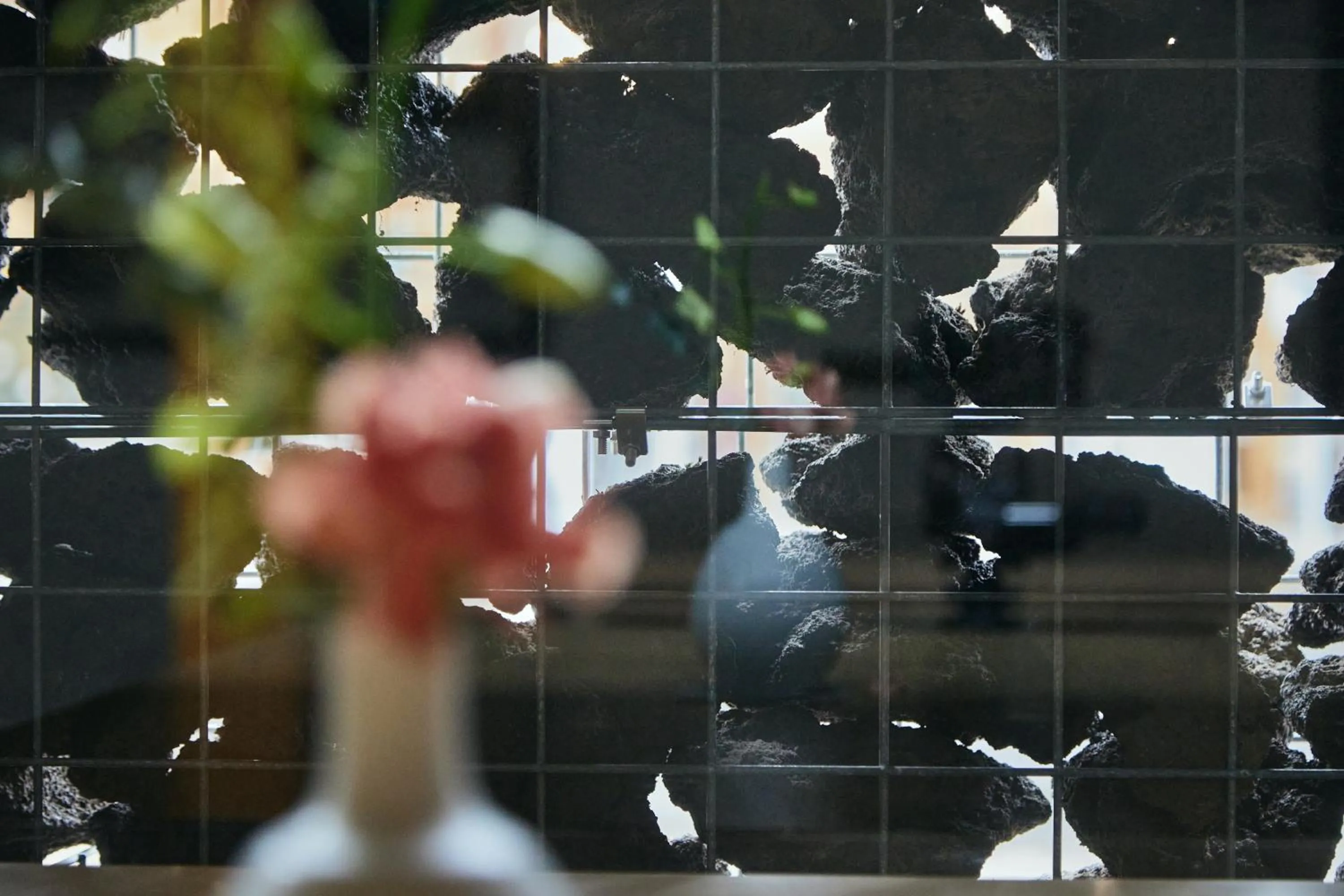 Day in TSUCHIYA Kinosaki onsen