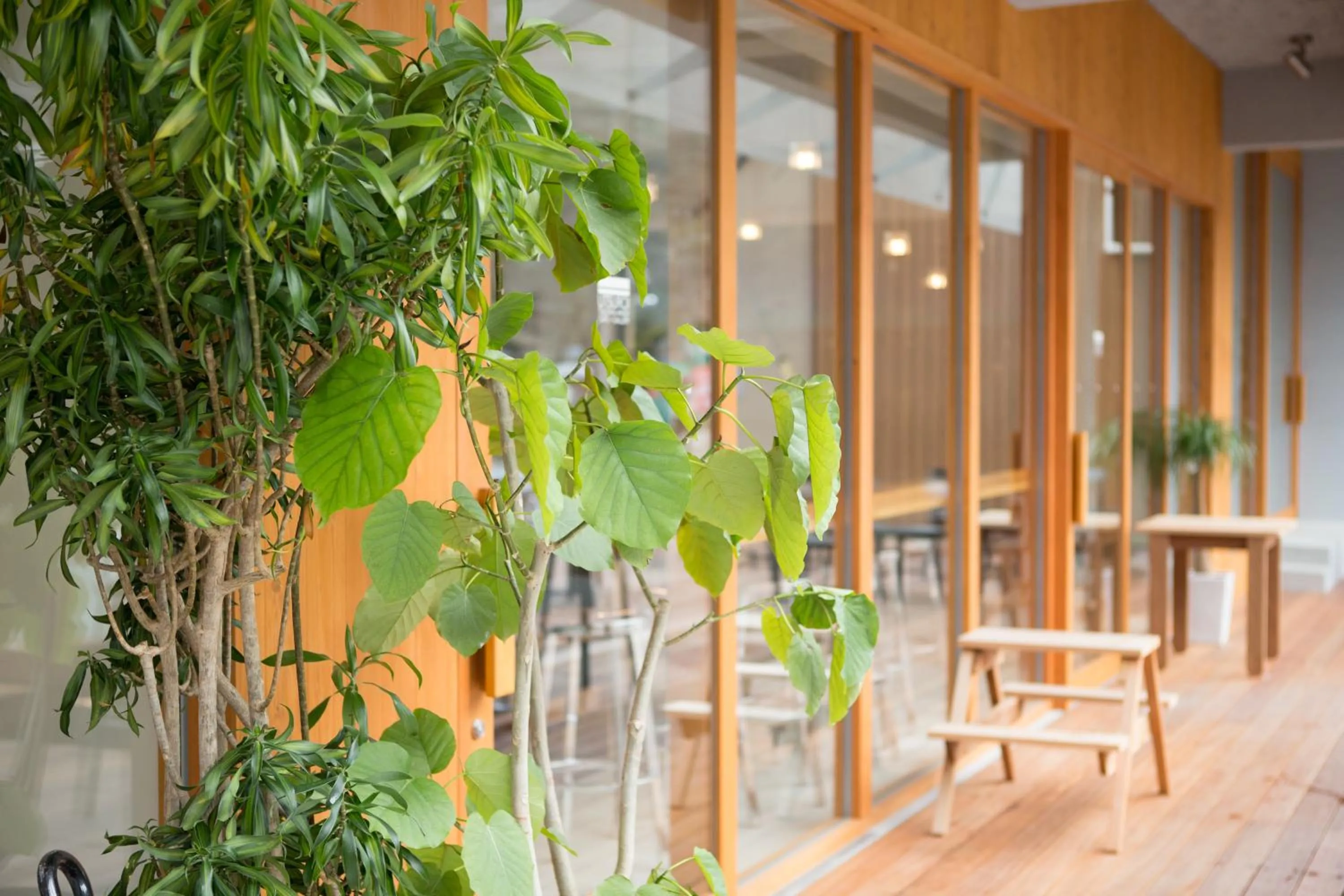 Day in TSUCHIYA Kinosaki onsen