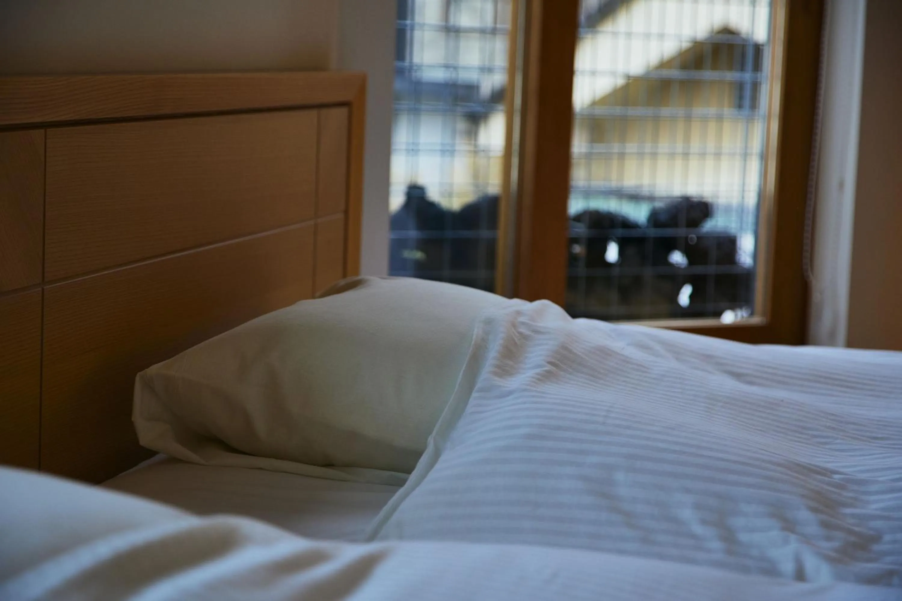 Bed in TSUCHIYA Kinosaki onsen