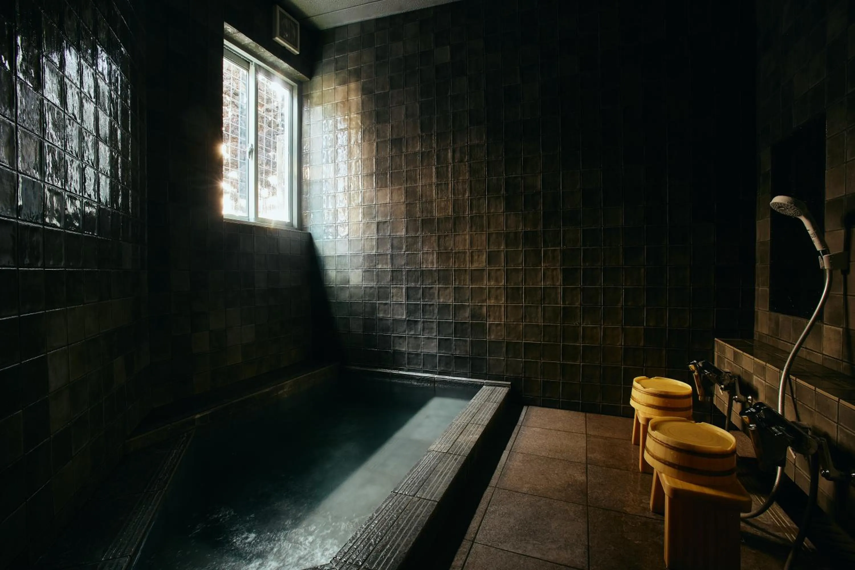 Toilet in TSUCHIYA Kinosaki onsen