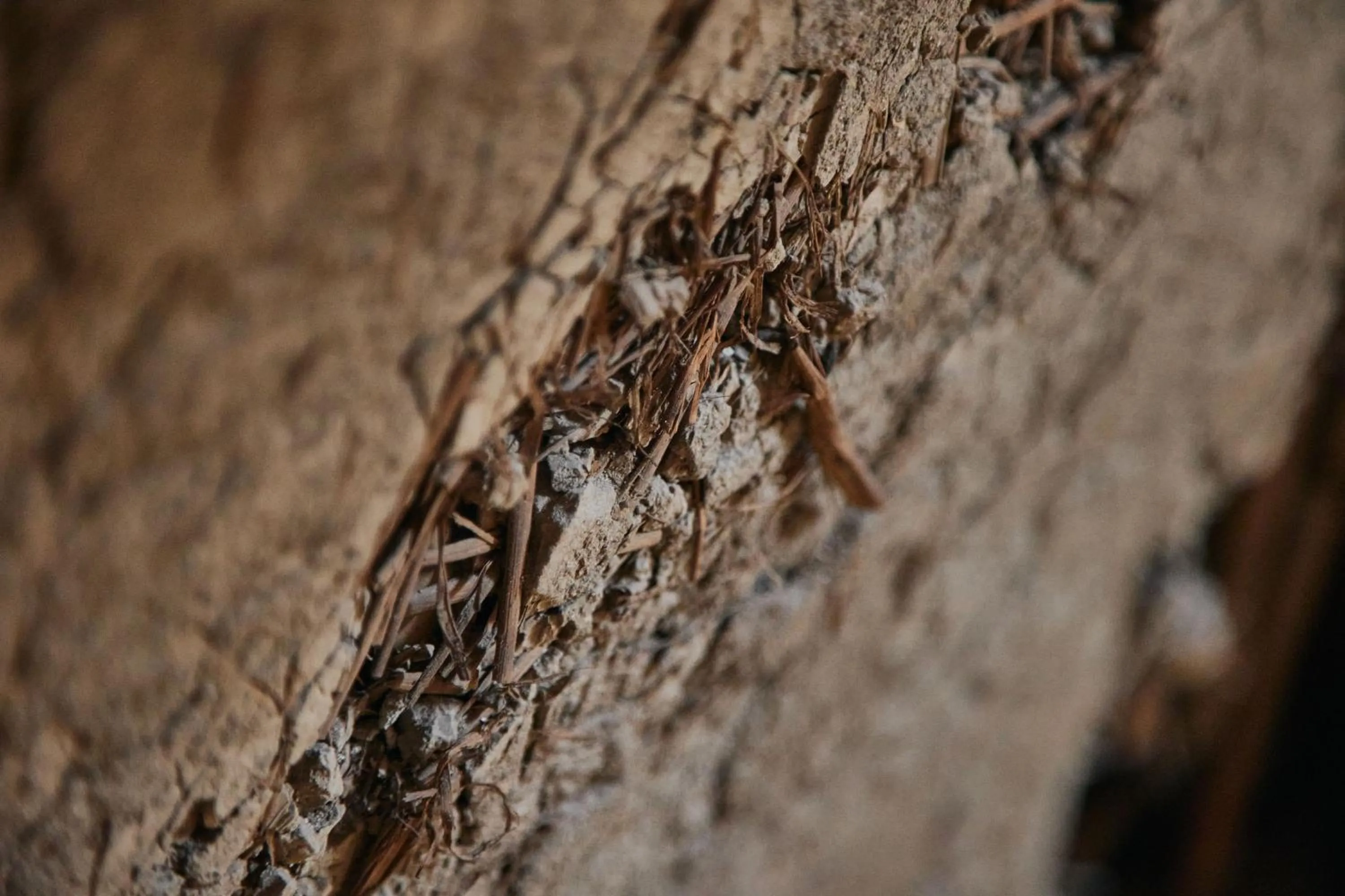 Dining area in TSUCHIYA Kinosaki onsen